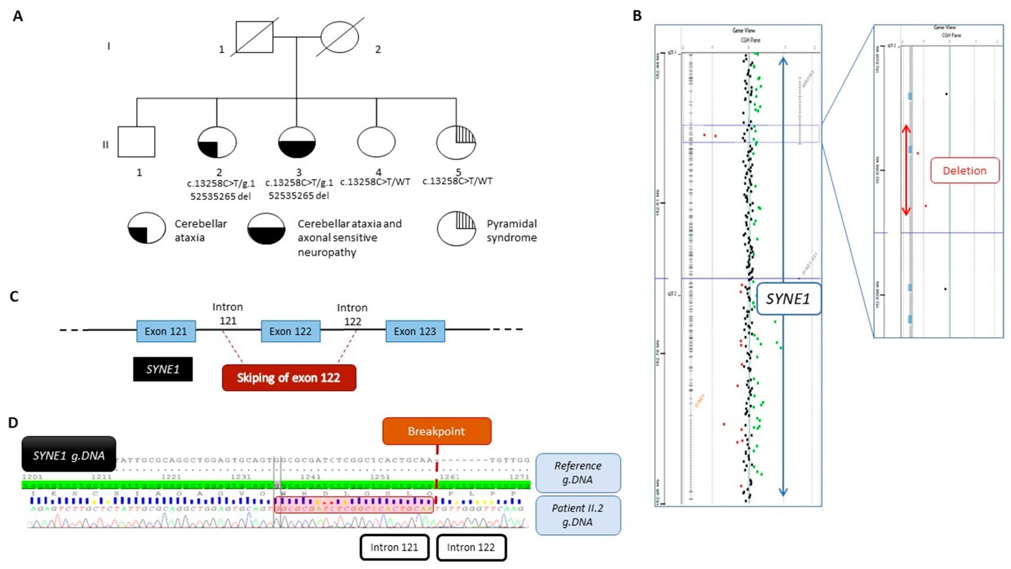 Genes 14 02154 g001