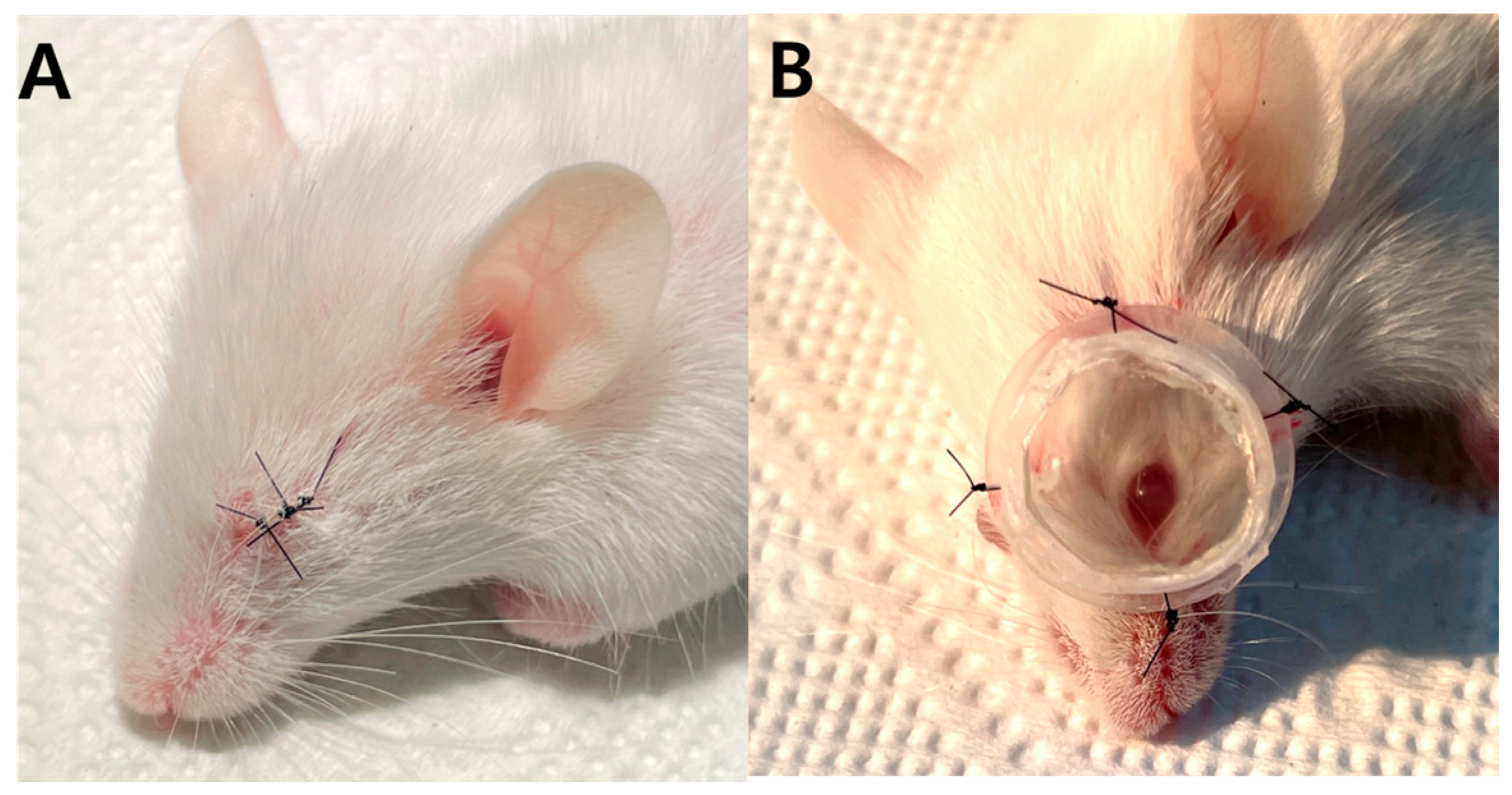 Genes 14 02163 g001 Genes 14 02163 g001