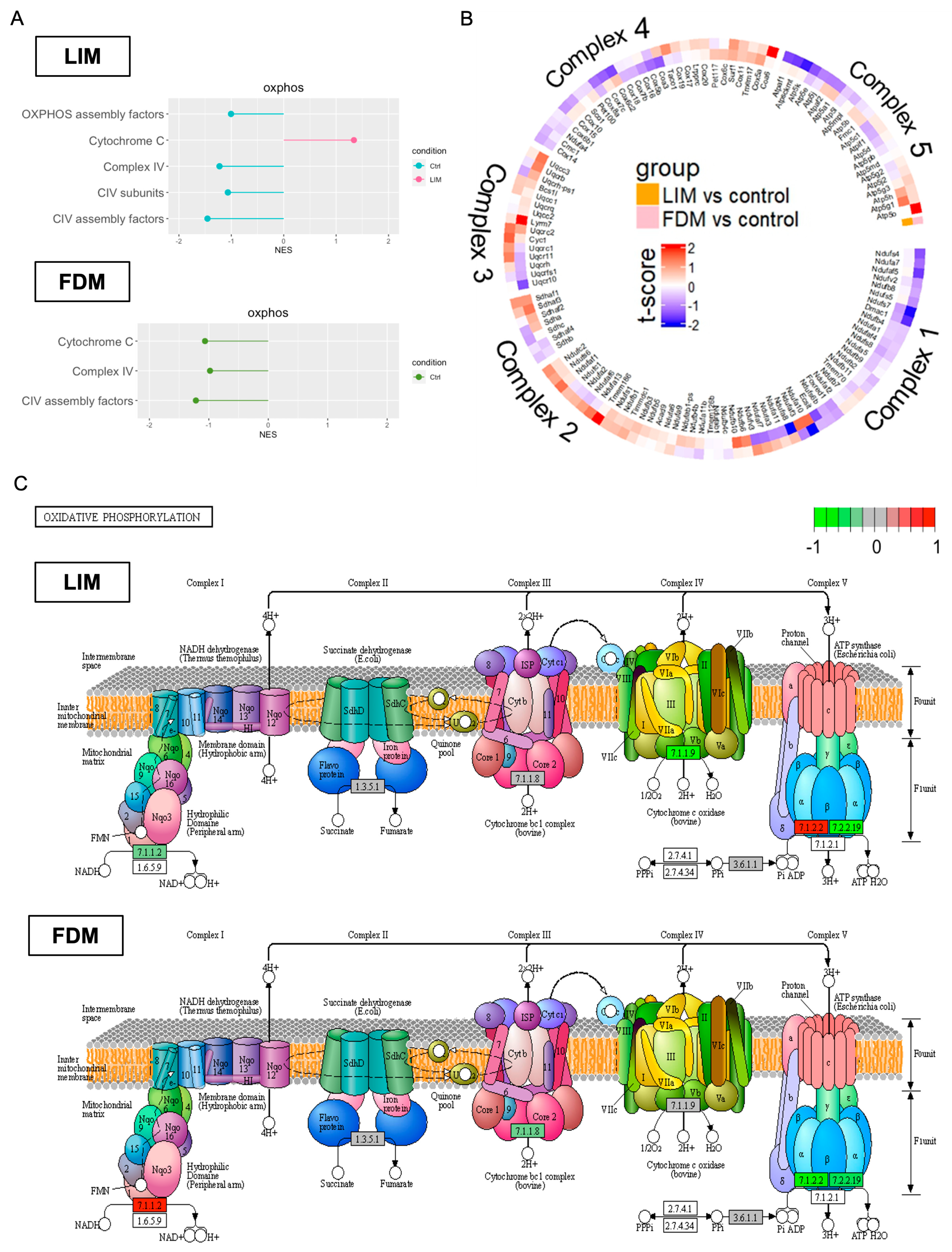 Genes 14 02163 g006 Genes 14 02163 g006