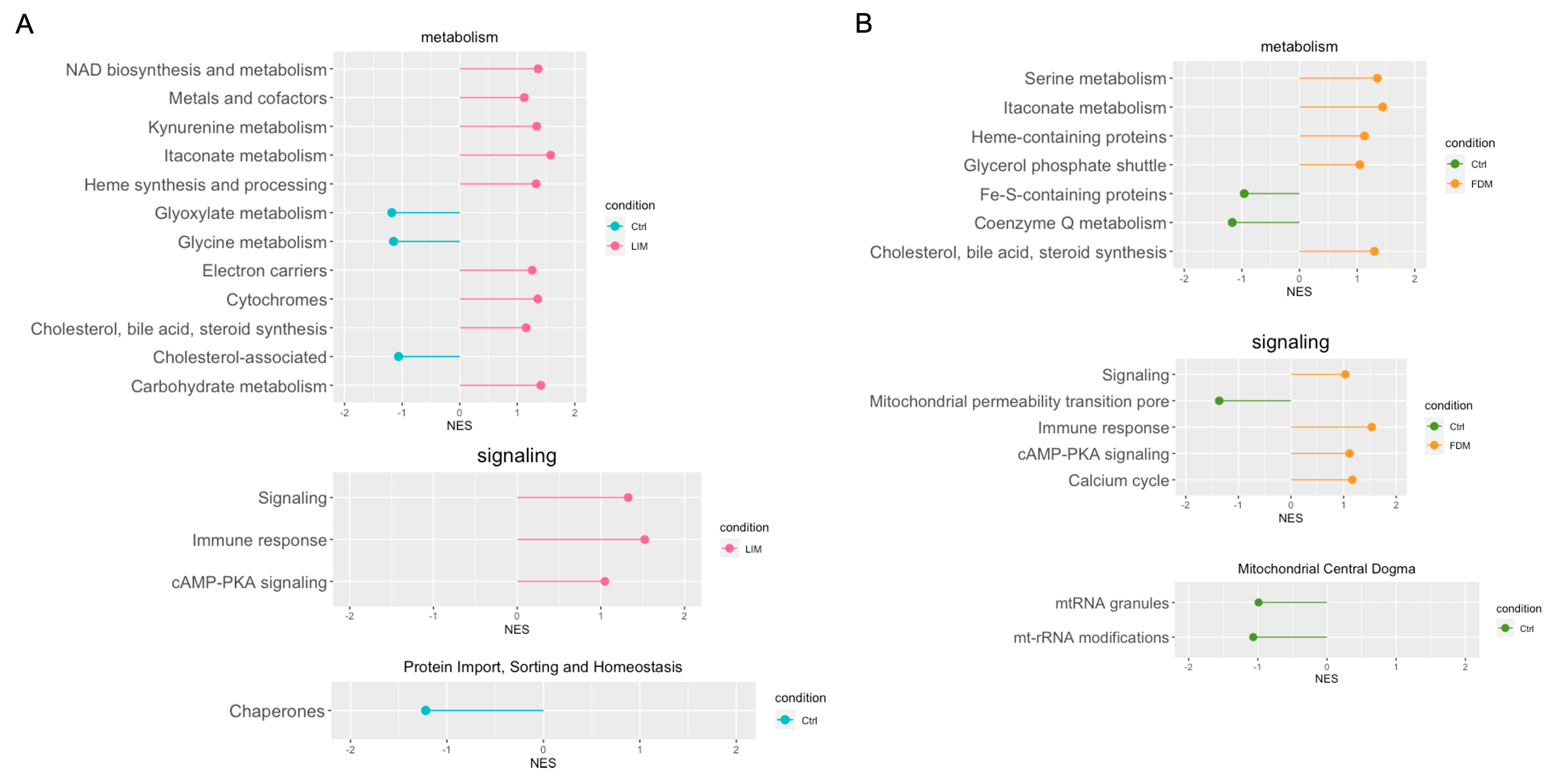 Genes 14 02163 g007 Genes 14 02163 g007