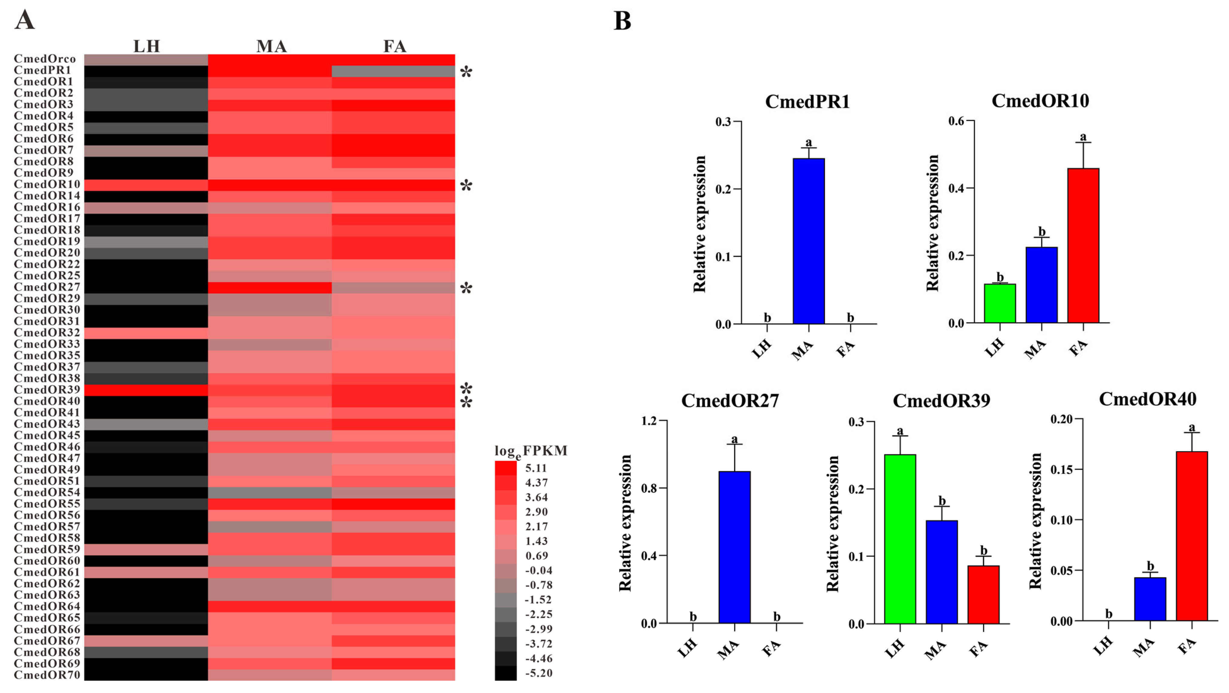 Genes 14 02165 g011