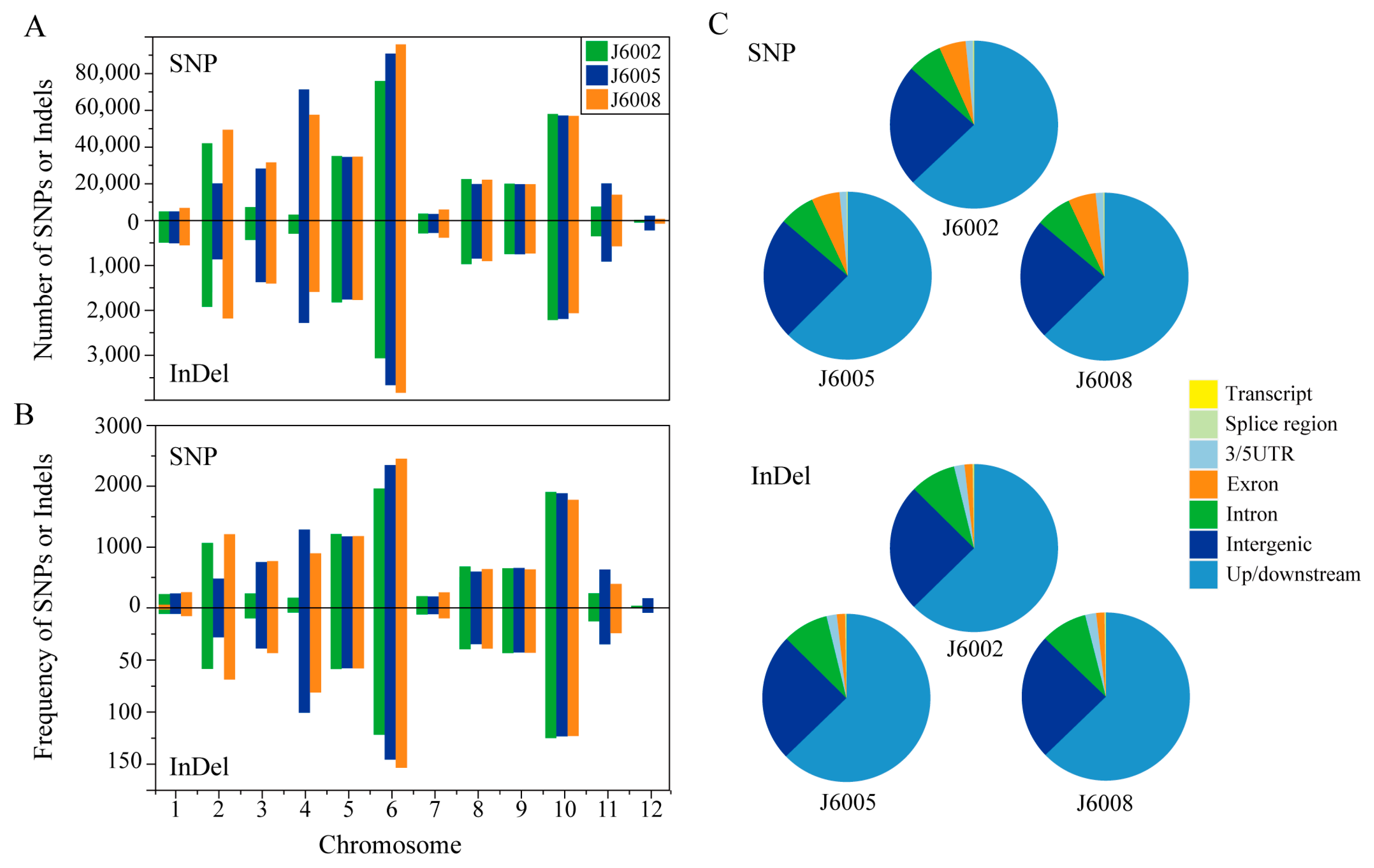 Genes 14 02178 g002