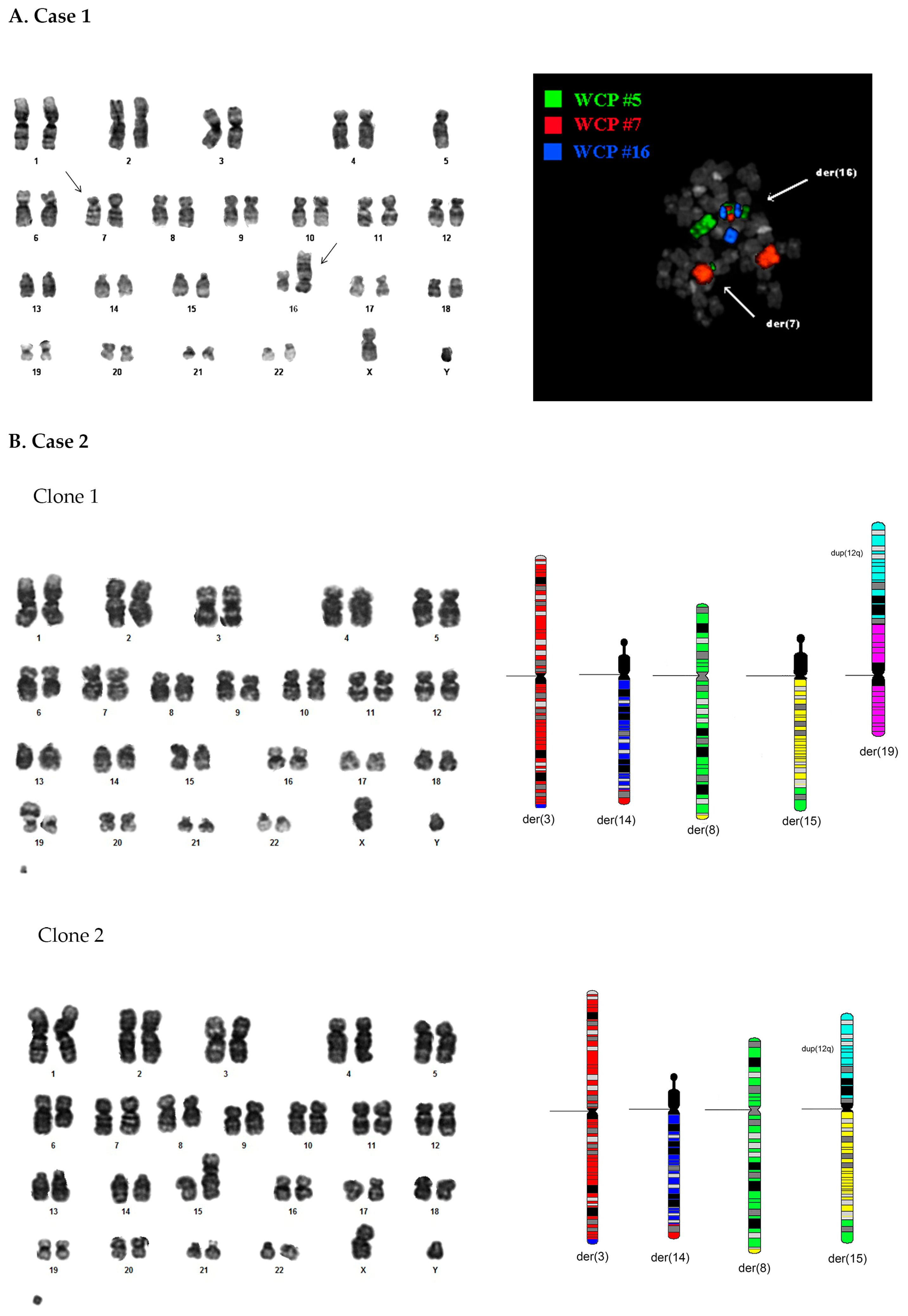 Genes 14 02180 g001 Genes 14 02180 g001