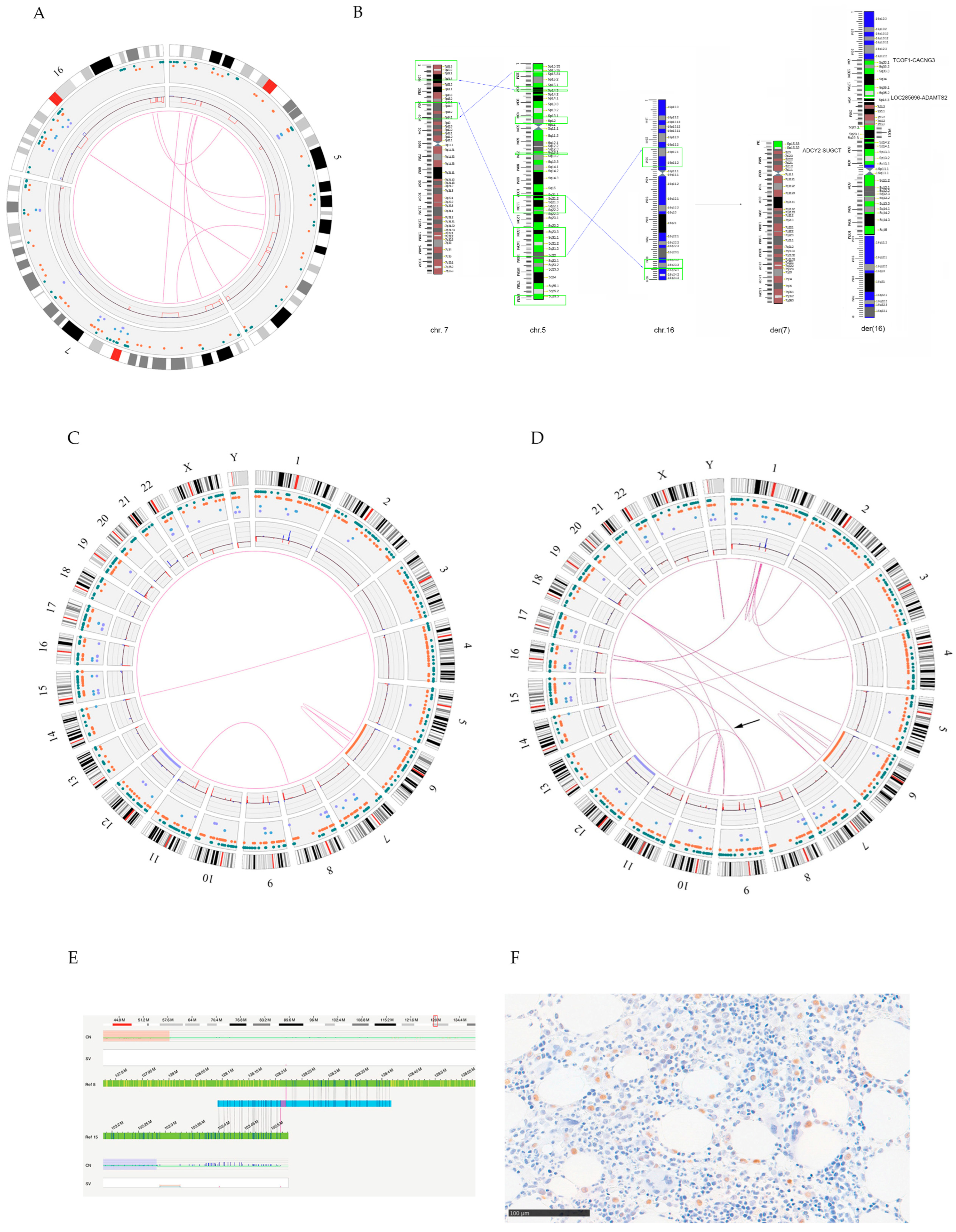 Genes 14 02180 g002 Genes 14 02180 g002
