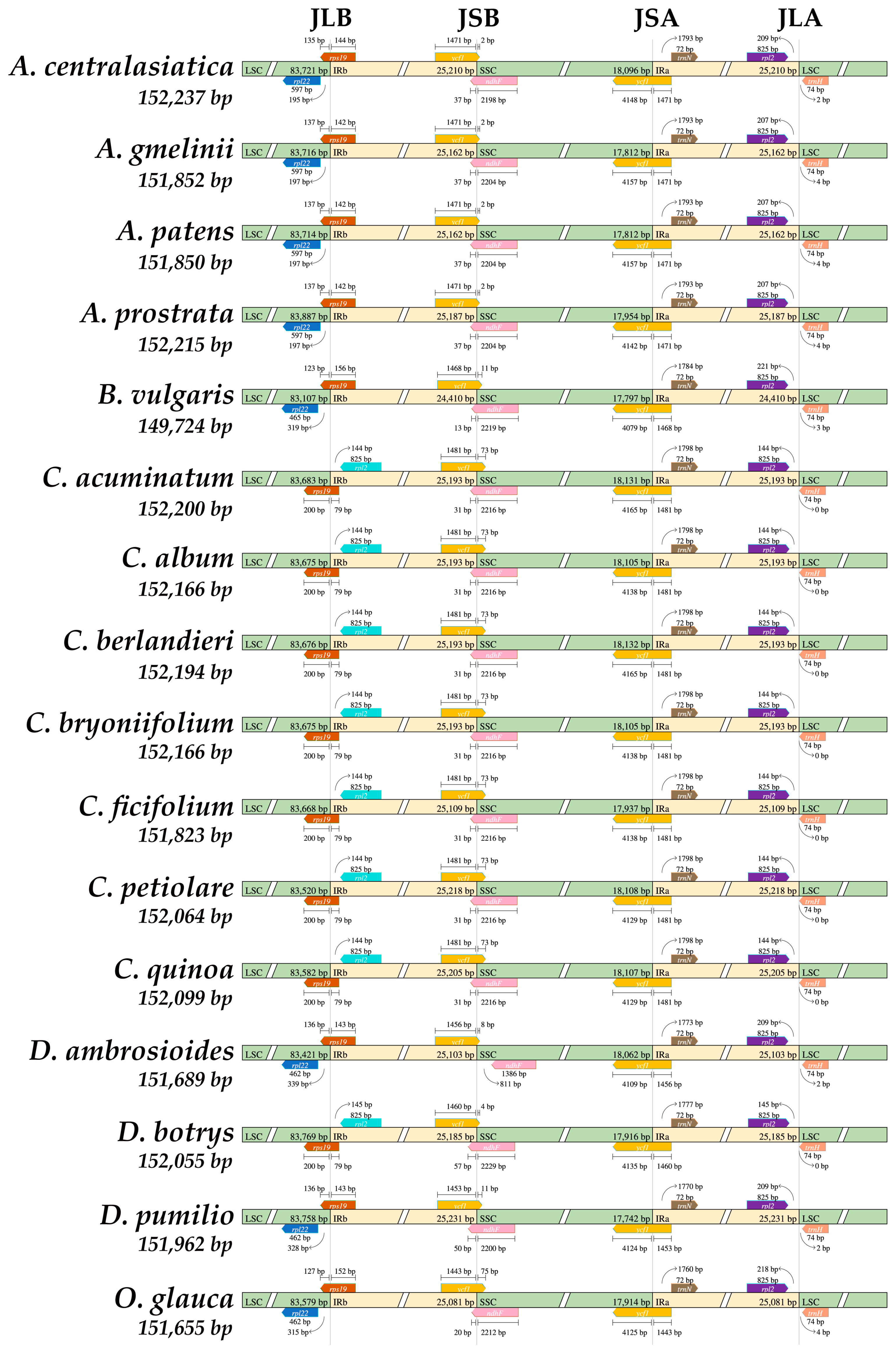 Genes 14 02183 g005 Genes 14 02183 g005