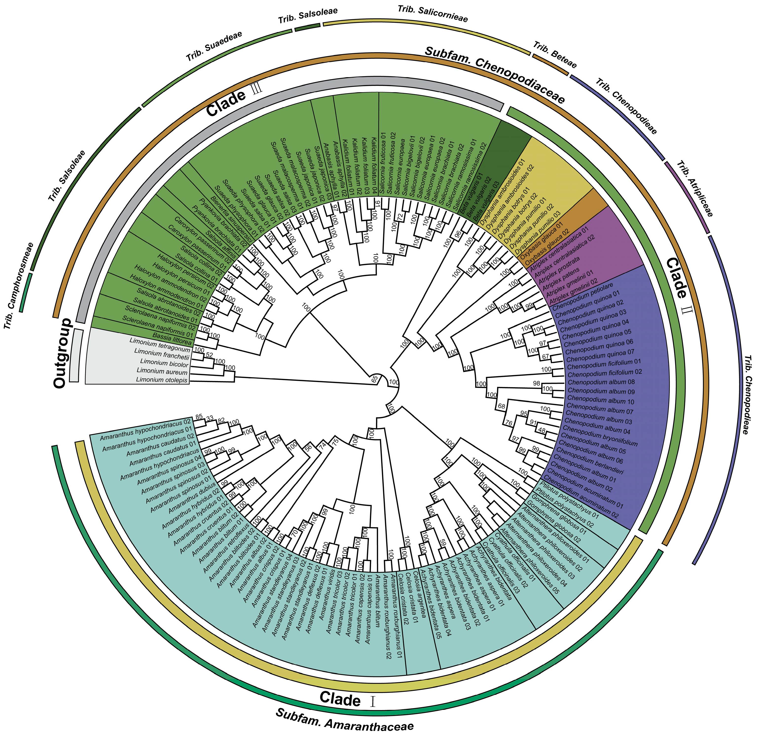Genes 14 02183 g008 Genes 14 02183 g008