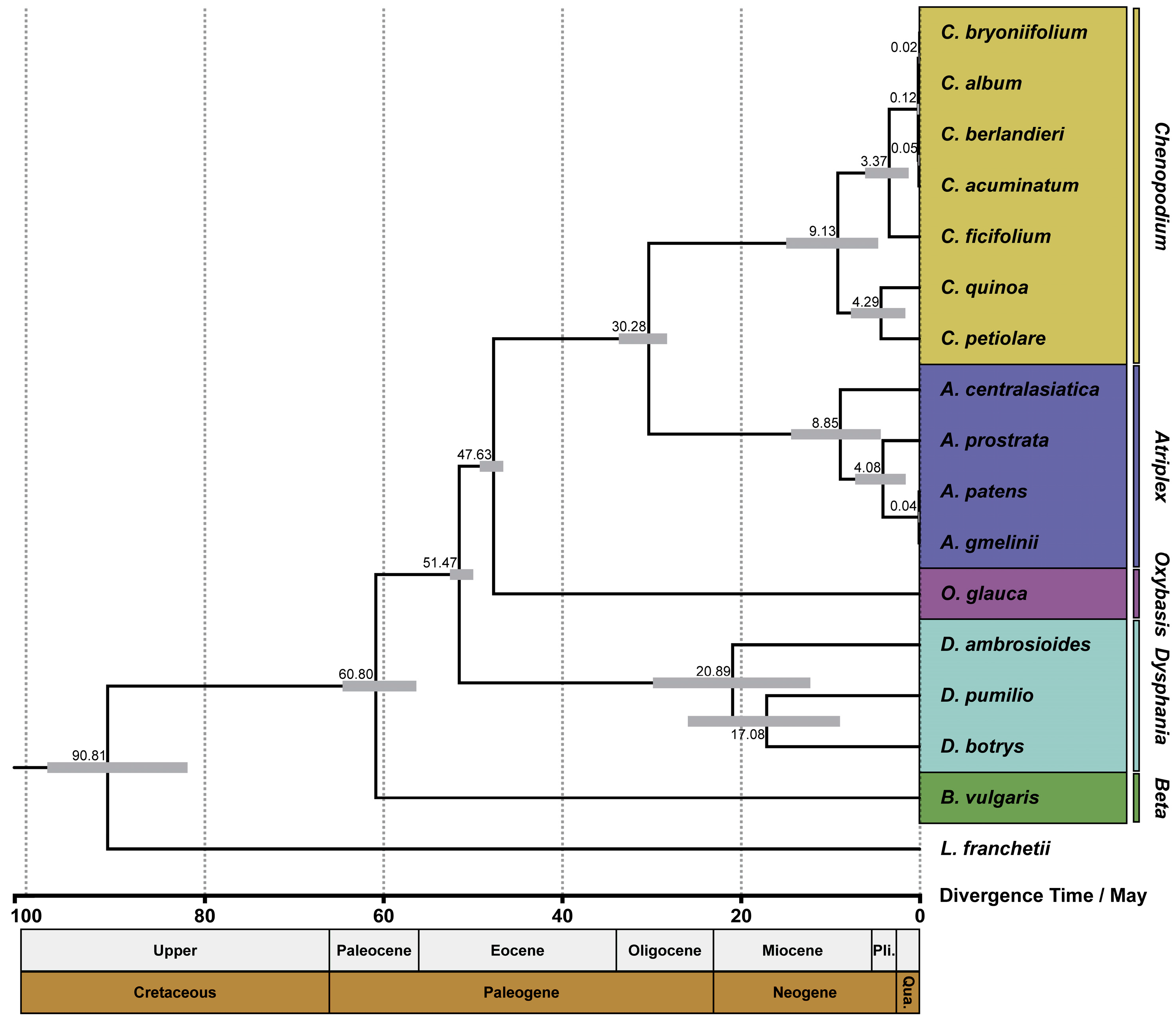 Genes 14 02183 g009 Genes 14 02183 g009