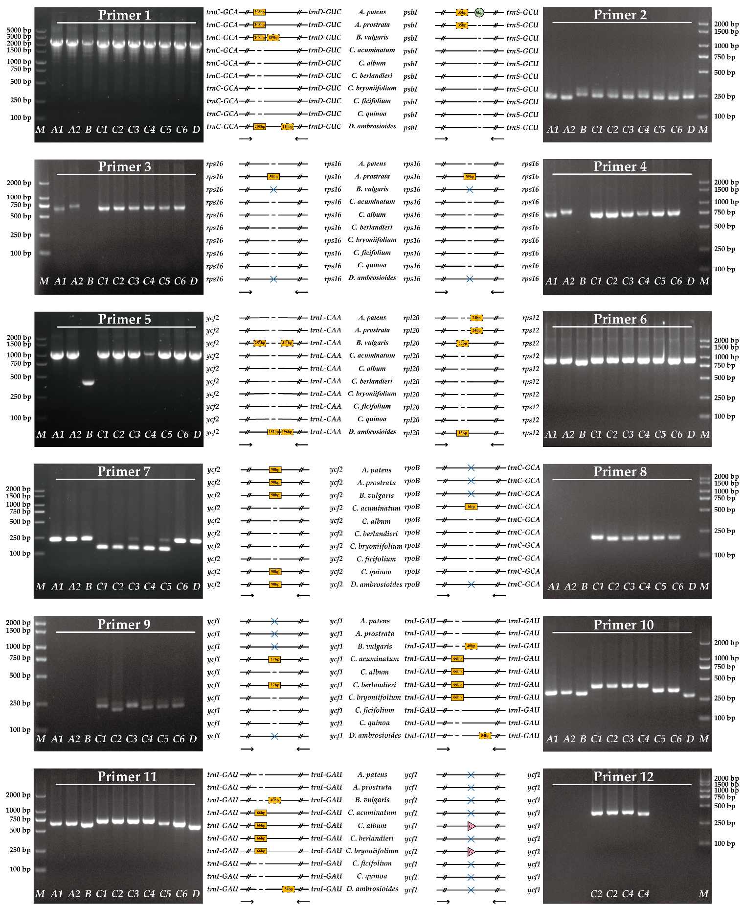 Genes 14 02183 g010 Genes 14 02183 g010