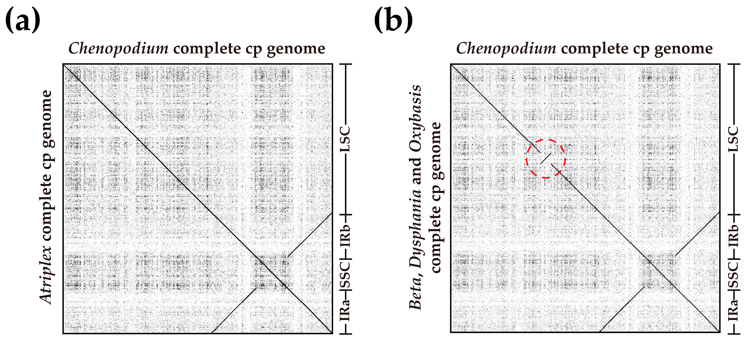 Genes 14 02183 g011 Genes 14 02183 g011