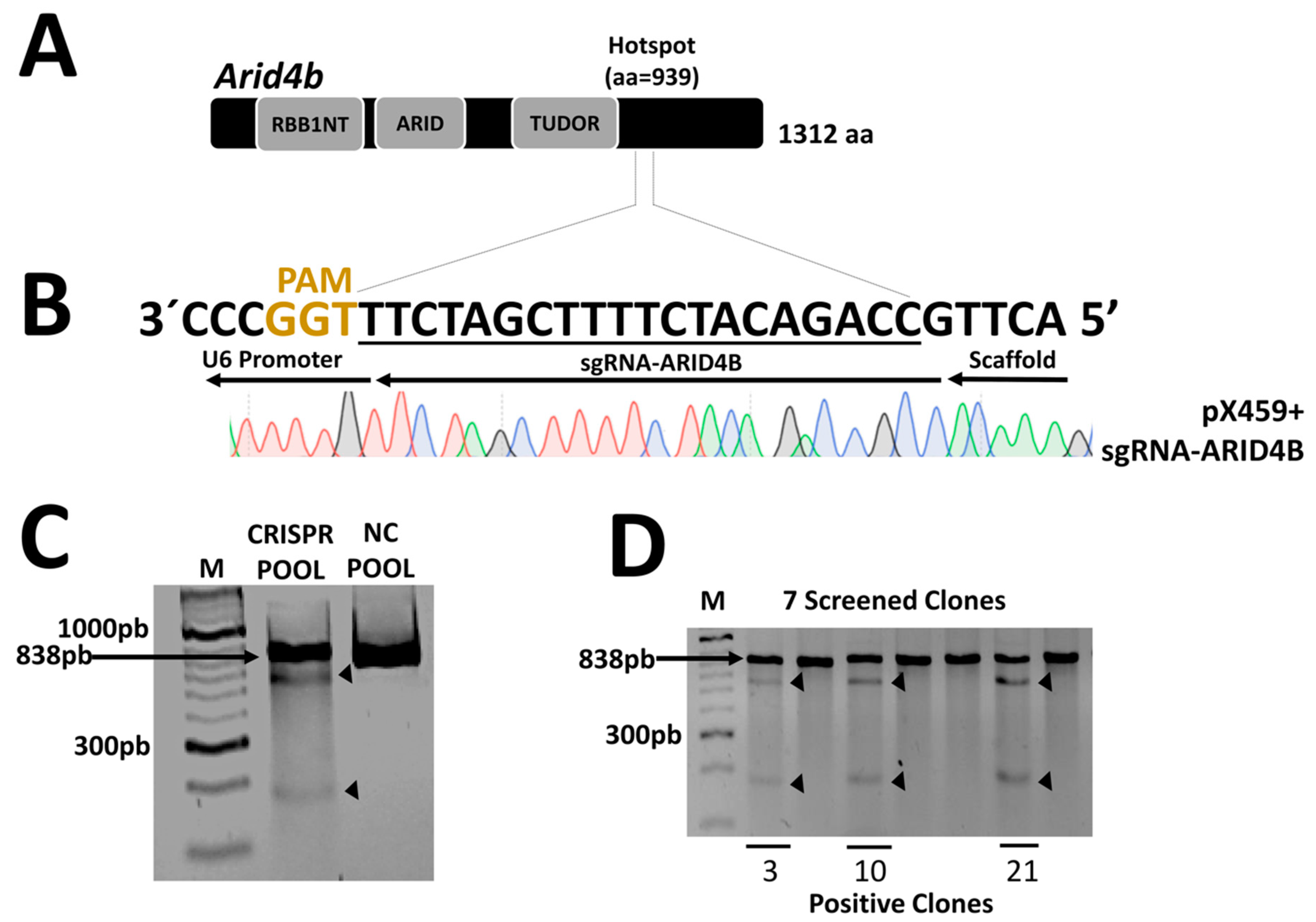 Genes 14 02184 g002 Genes 14 02184 g002