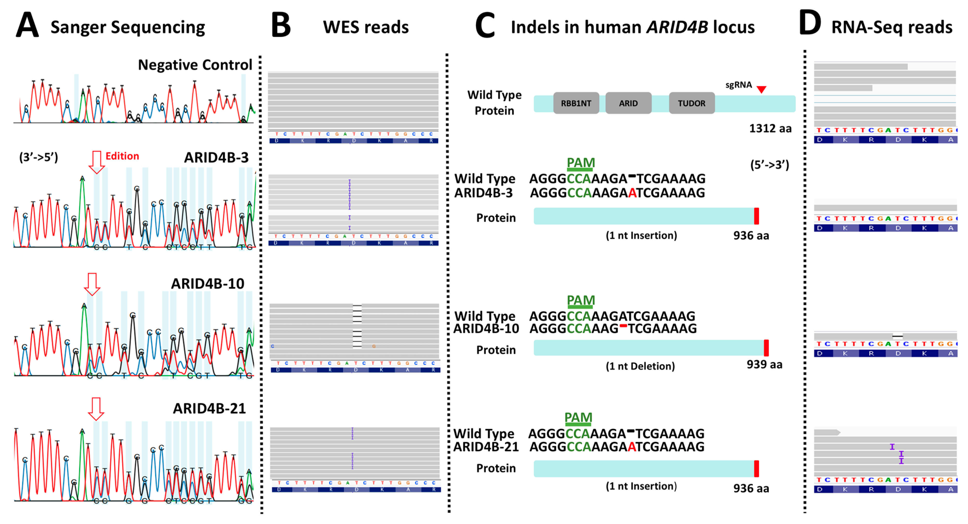 Genes 14 02184 g003 Genes 14 02184 g003