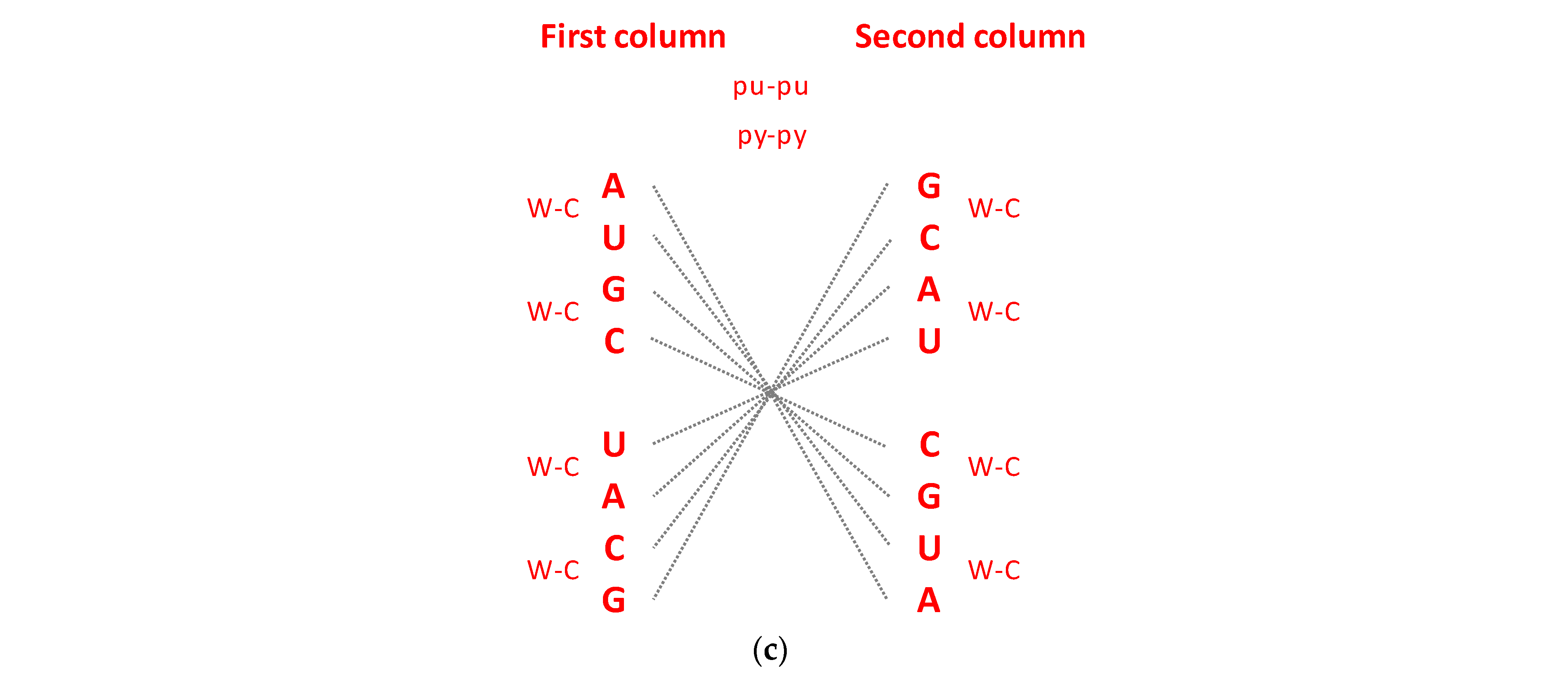 Genes 14 02200 g001c