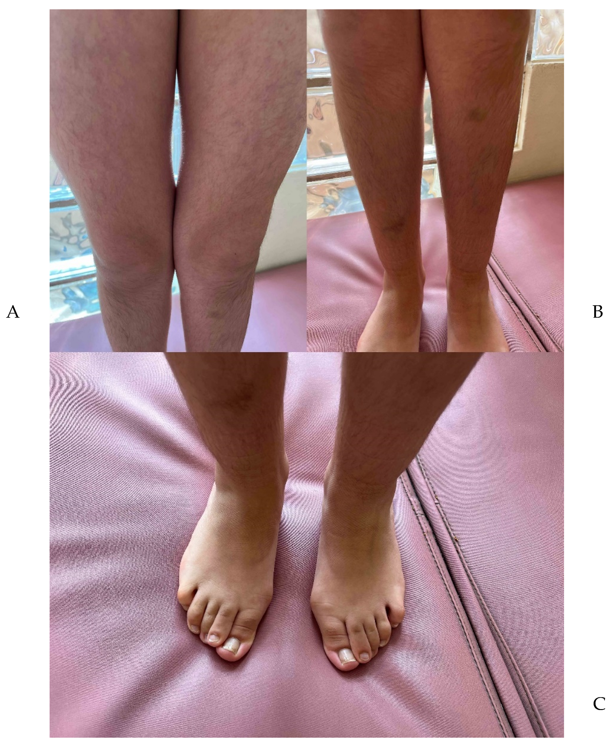 Genes 14 02212 g003 Genes 14 02212 g003