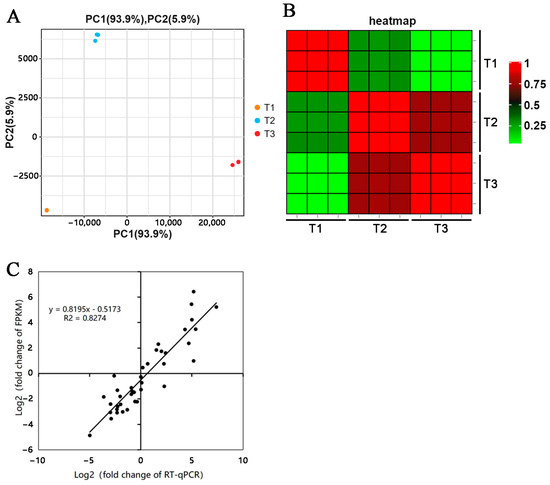 RNA-Sequencing Analysis Revealed Genes Associated with Sweet