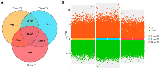 フラグメント RNA-Sequencing Analysis Revealed Genes Associated with Sweet