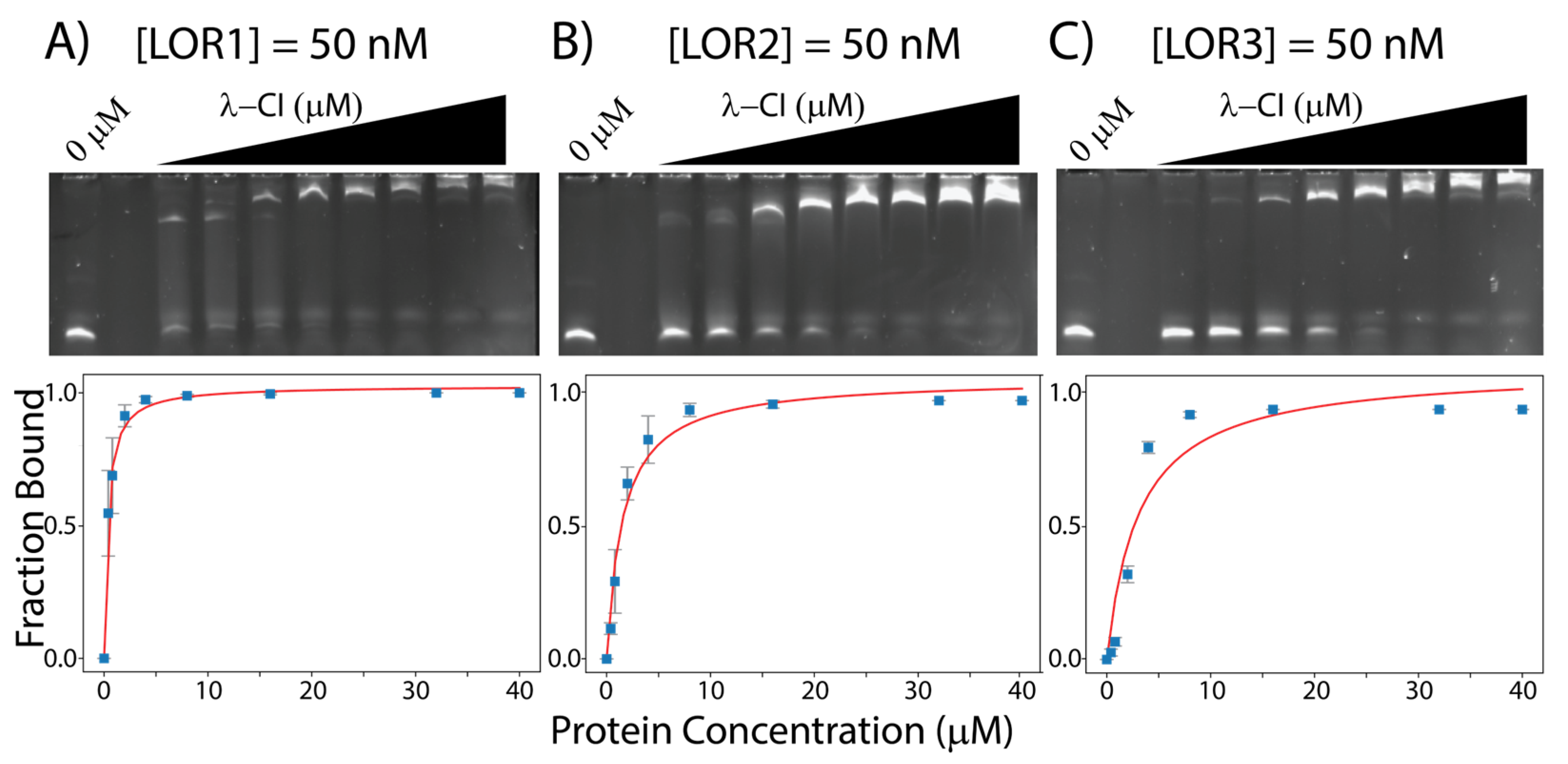 Genes 14 02221 g003 Genes 14 02221 g003