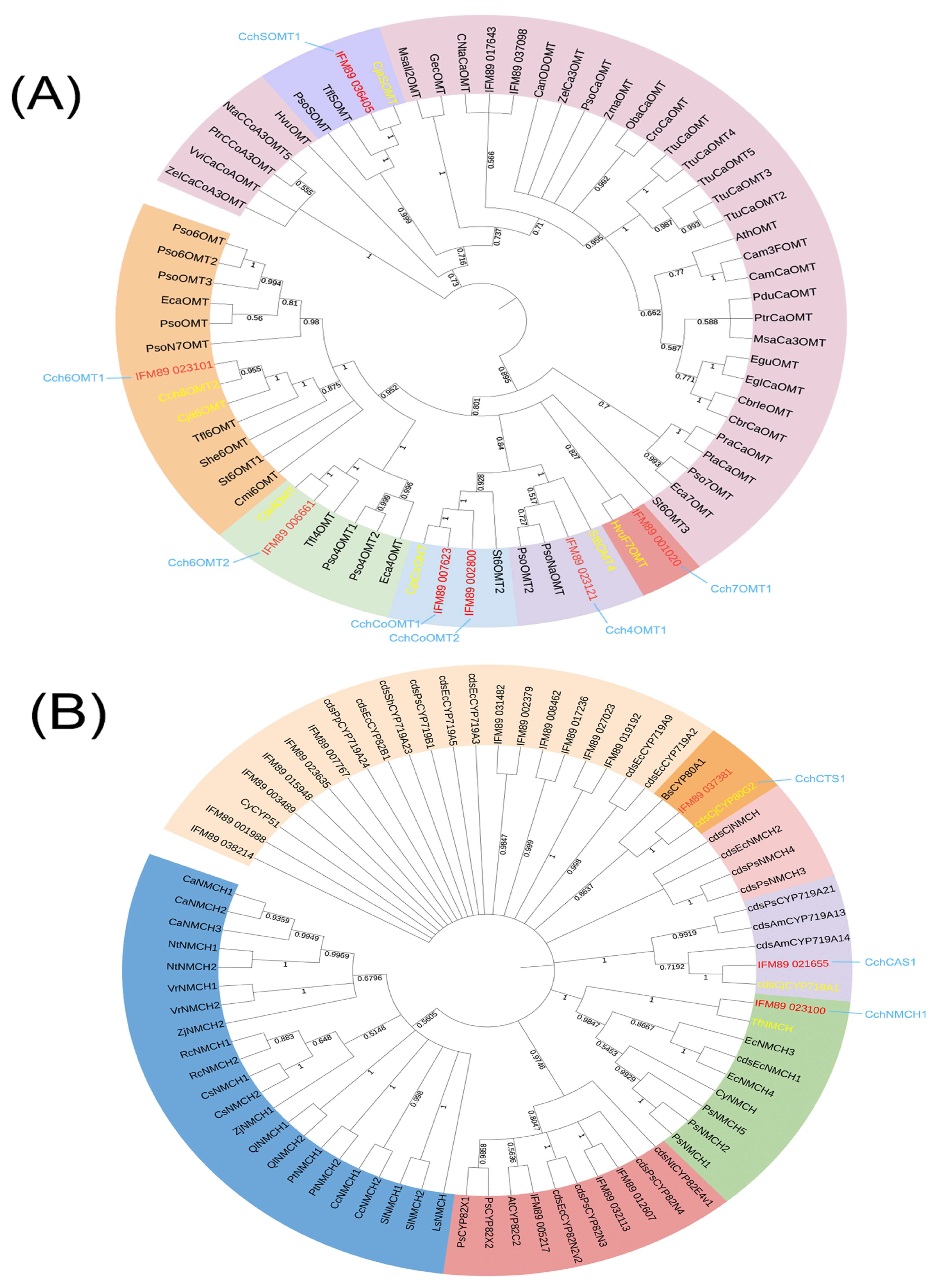 Genes 14 02232 g004 Genes 14 02232 g004