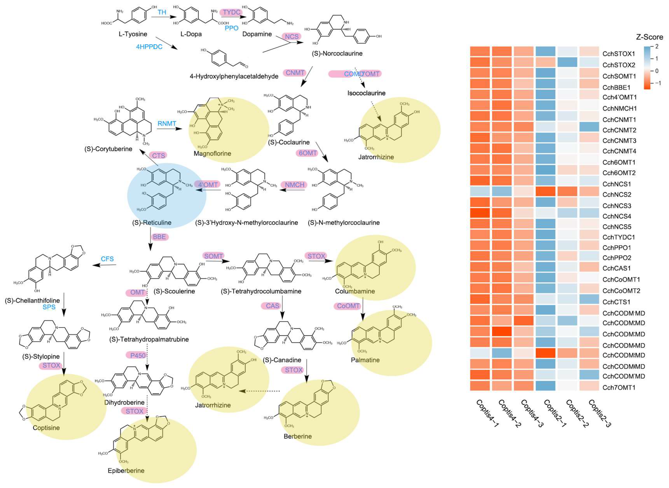 Genes 14 02232 g005 Genes 14 02232 g005