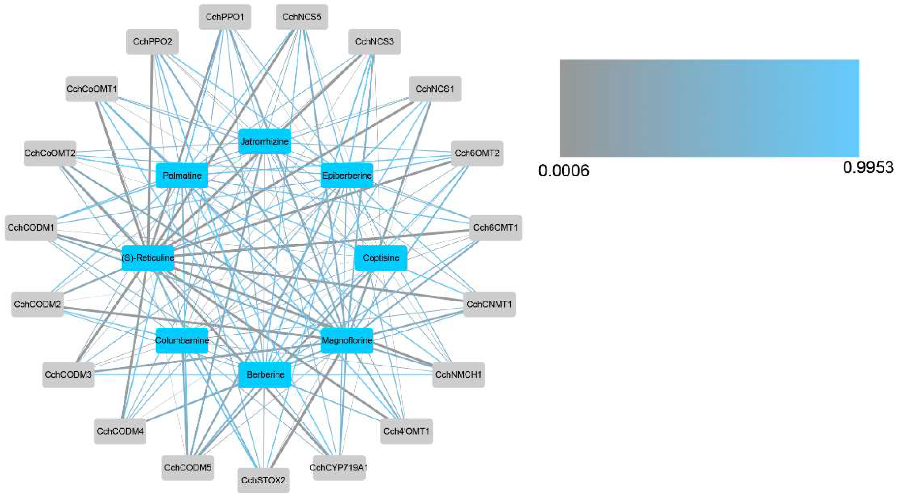 Genes 14 02232 g006 Genes 14 02232 g006