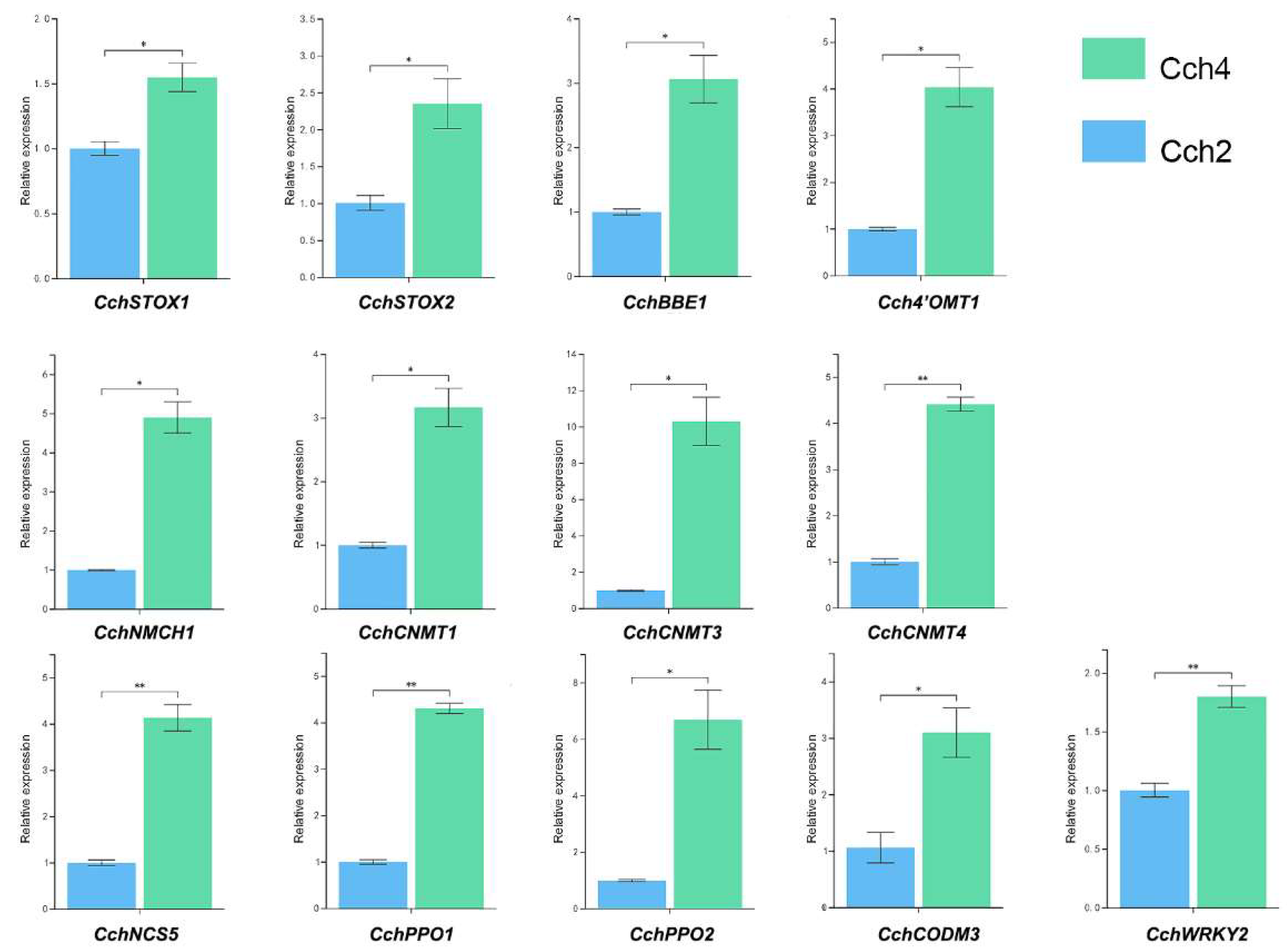 Genes 14 02232 g007 Genes 14 02232 g007