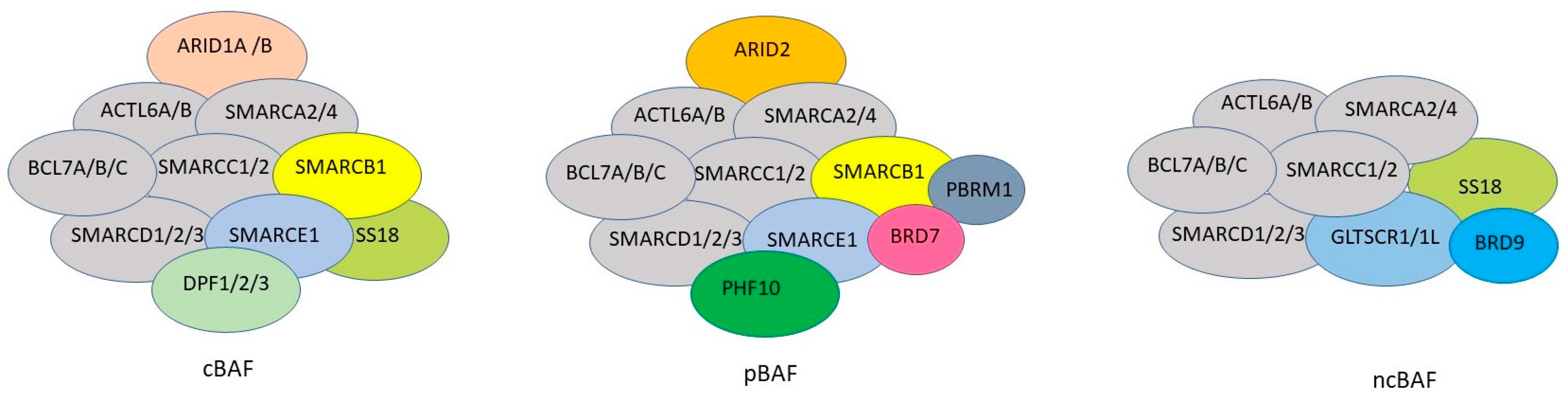 Genes 15 00005 g001 Genes 15 00005 g001