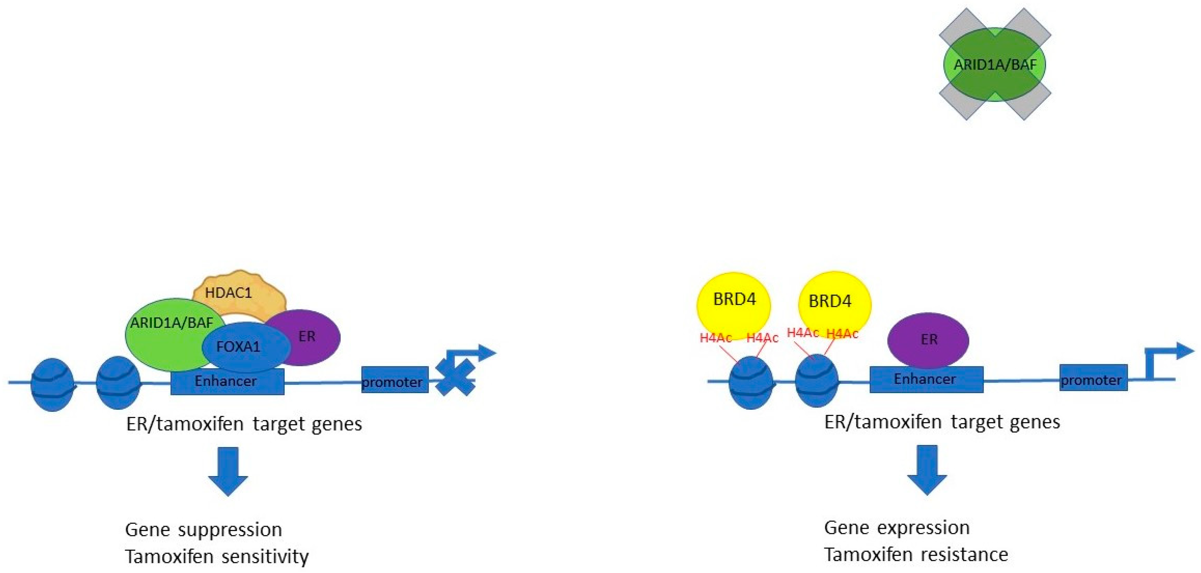 Genes 15 00005 g008 Genes 15 00005 g008