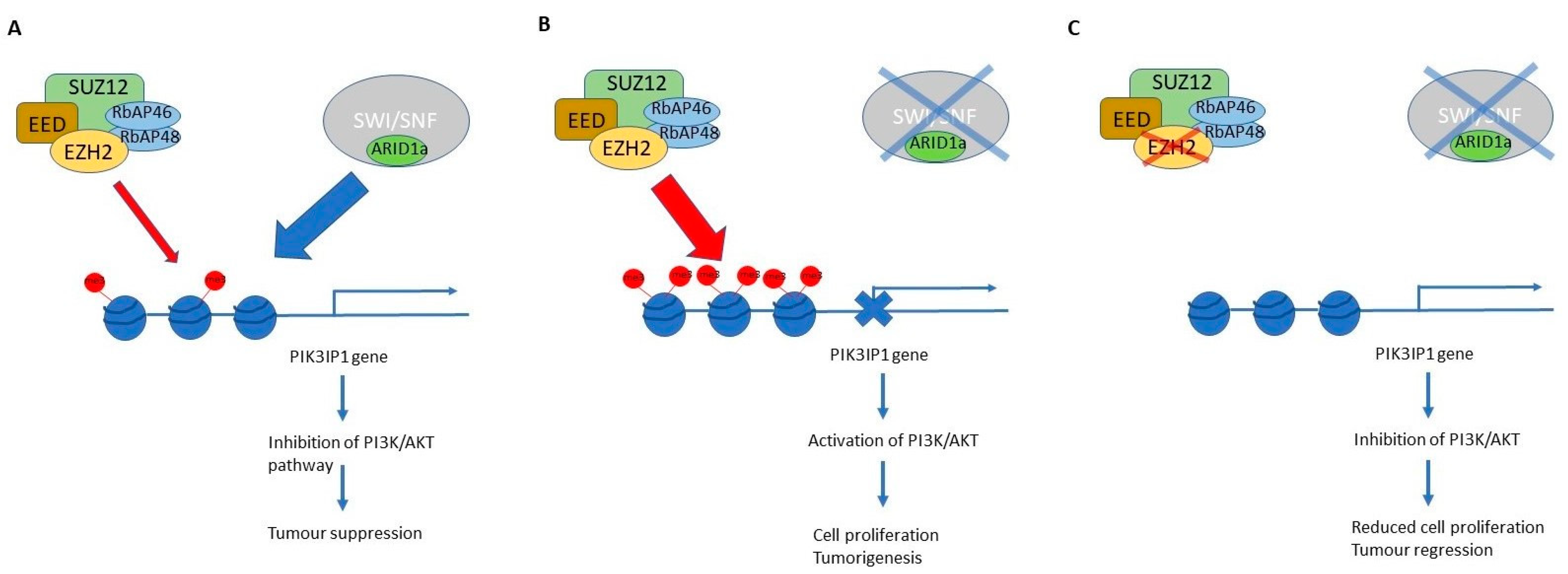 Genes 15 00005 g009 Genes 15 00005 g009