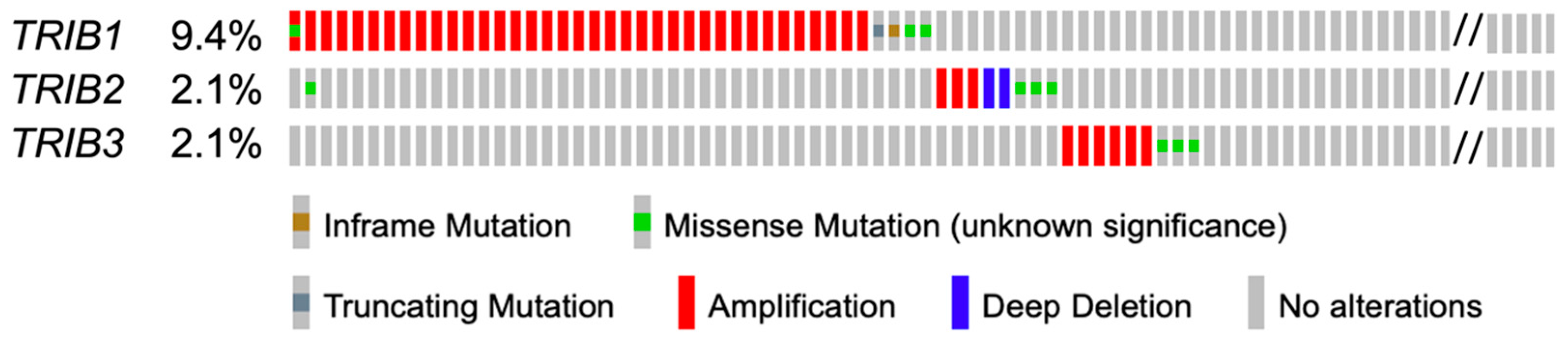 Genes 15 00026 g001
