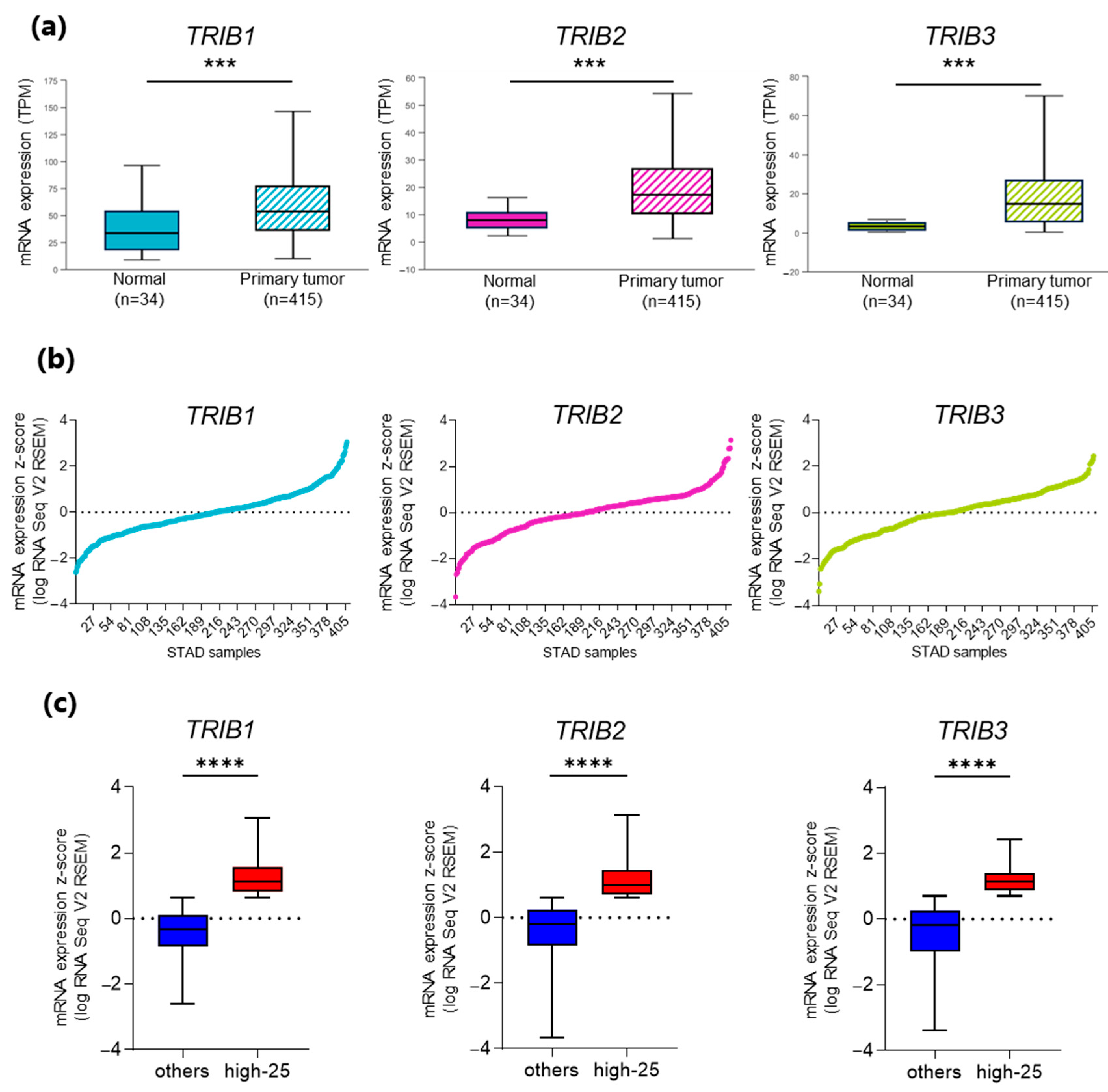 Genes 15 00026 g002