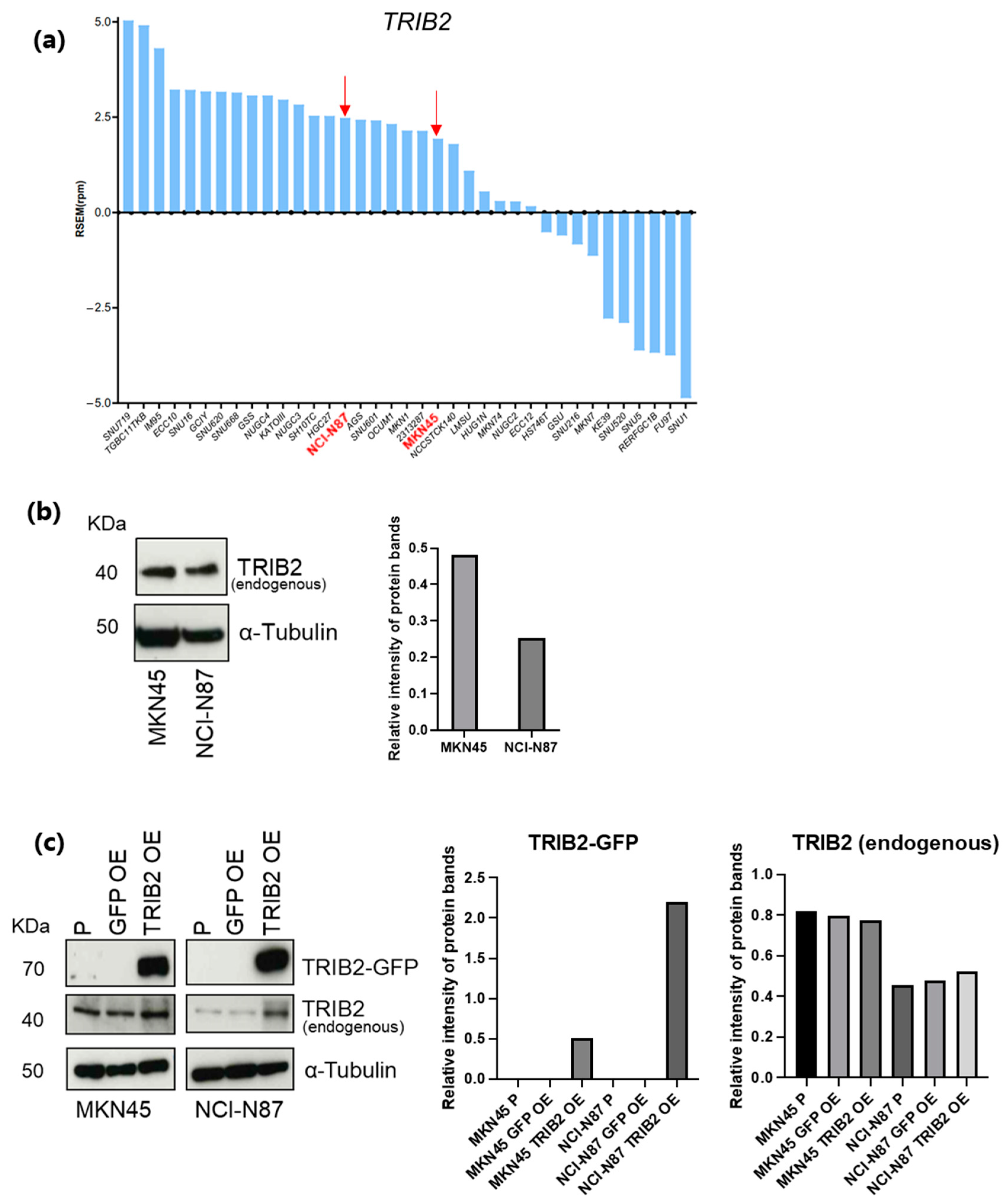 Genes 15 00026 g005
