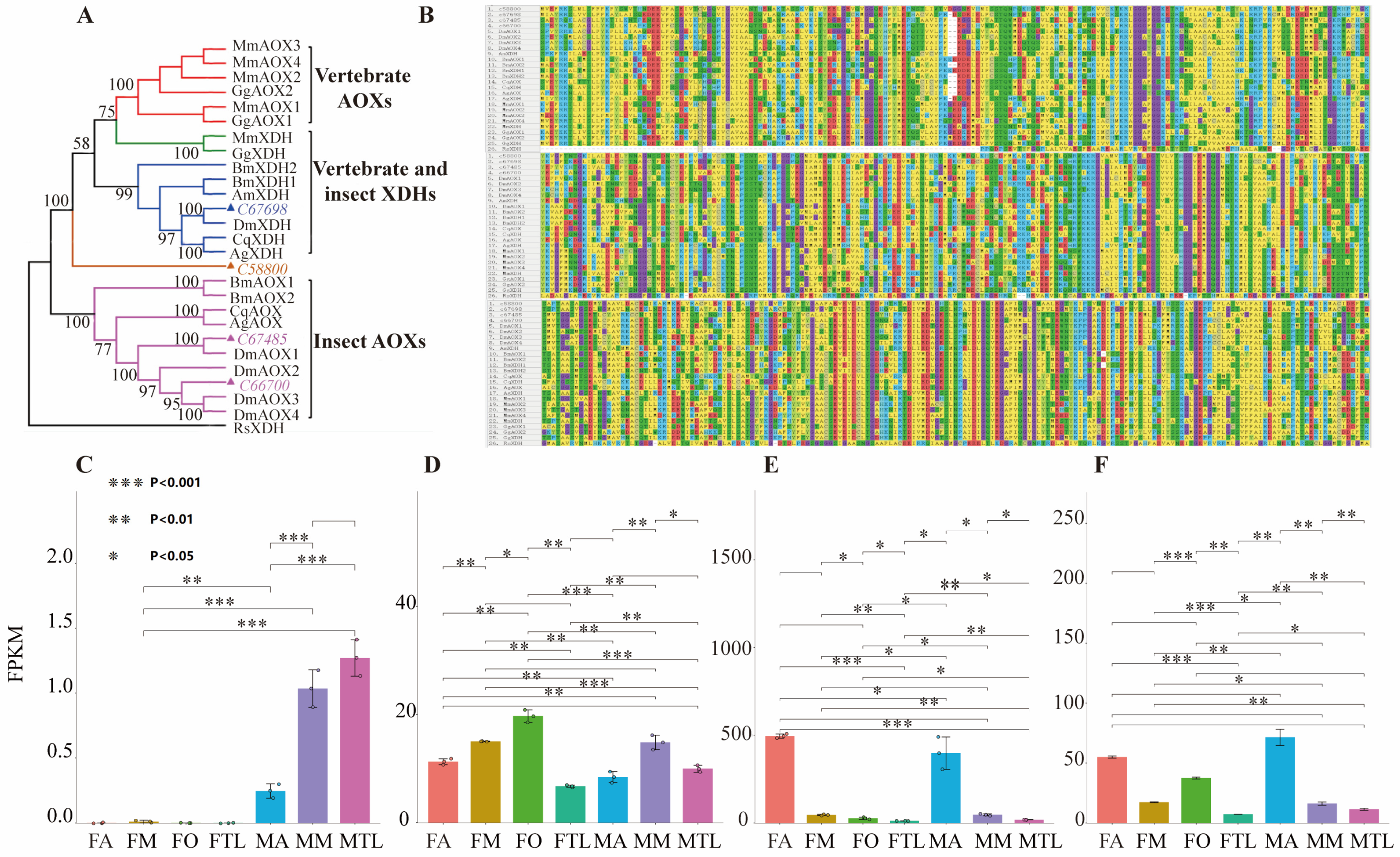 Genes 15 00035 g002