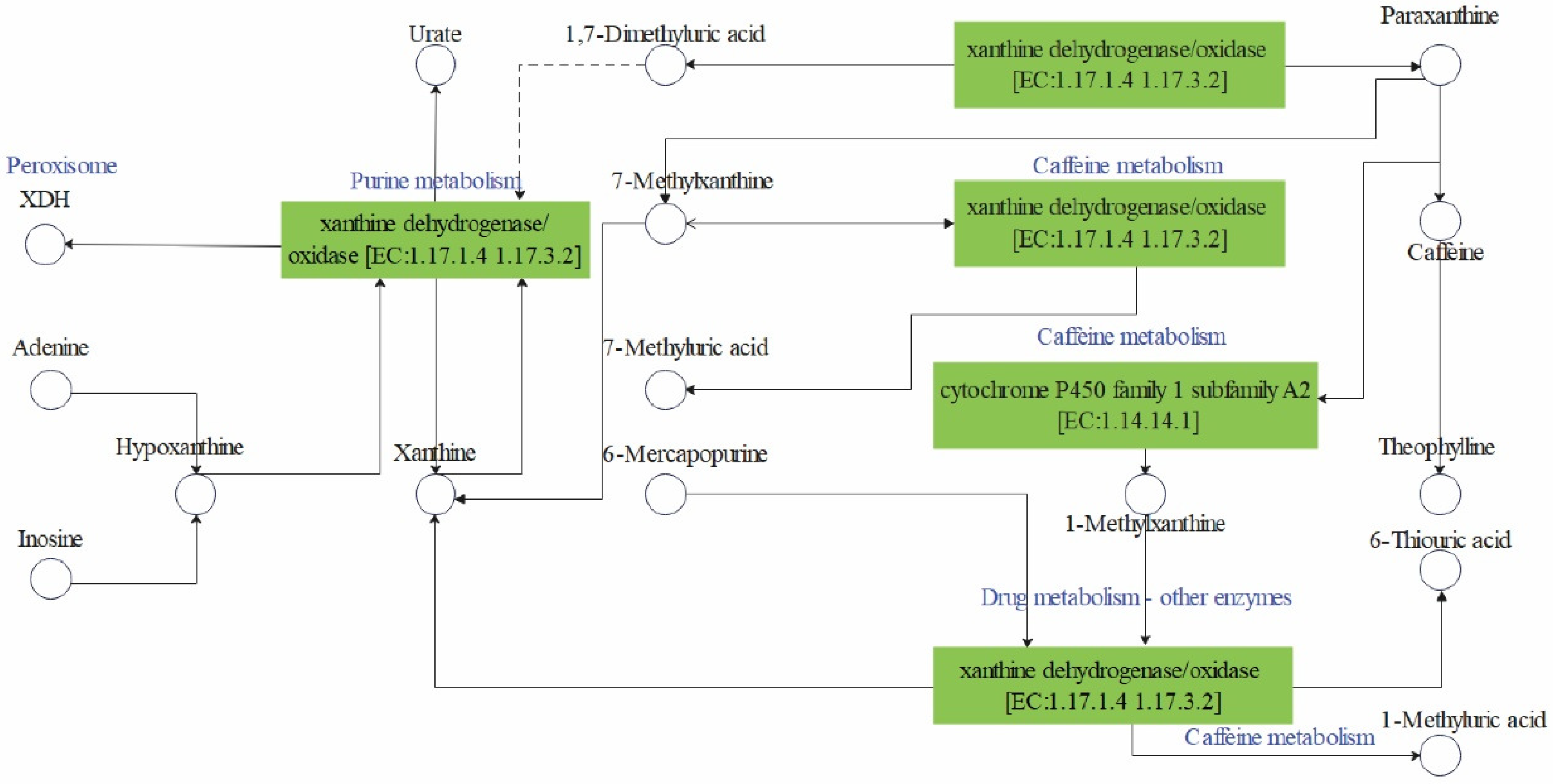 Genes 15 00035 g005