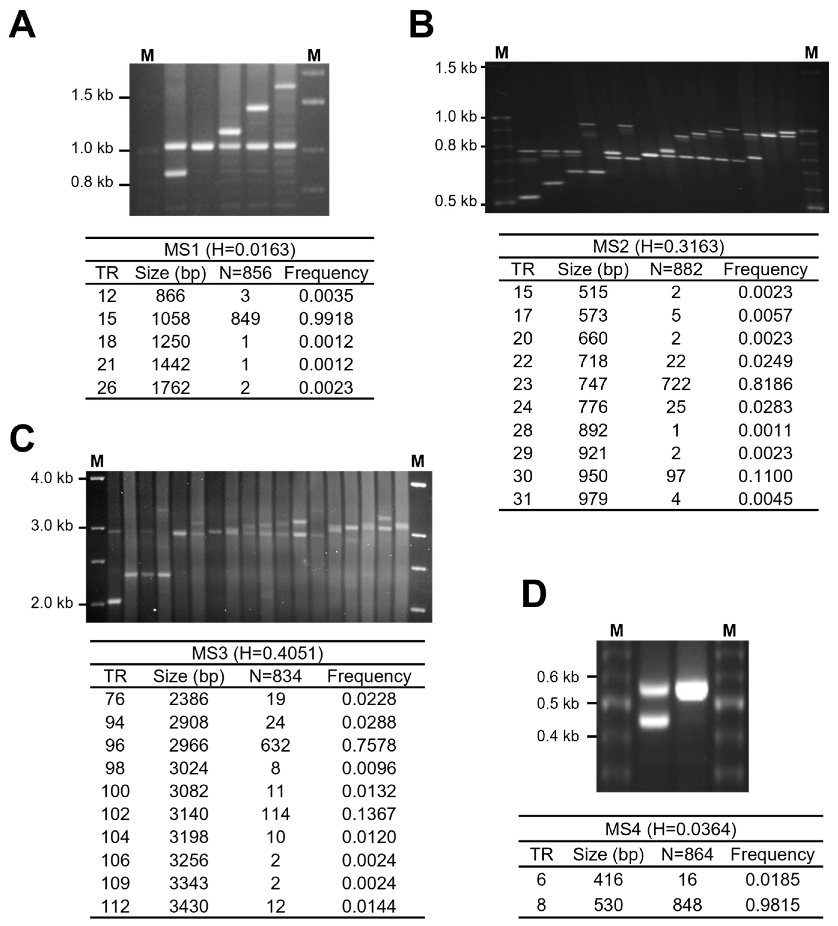 Genes 15 00050 g002