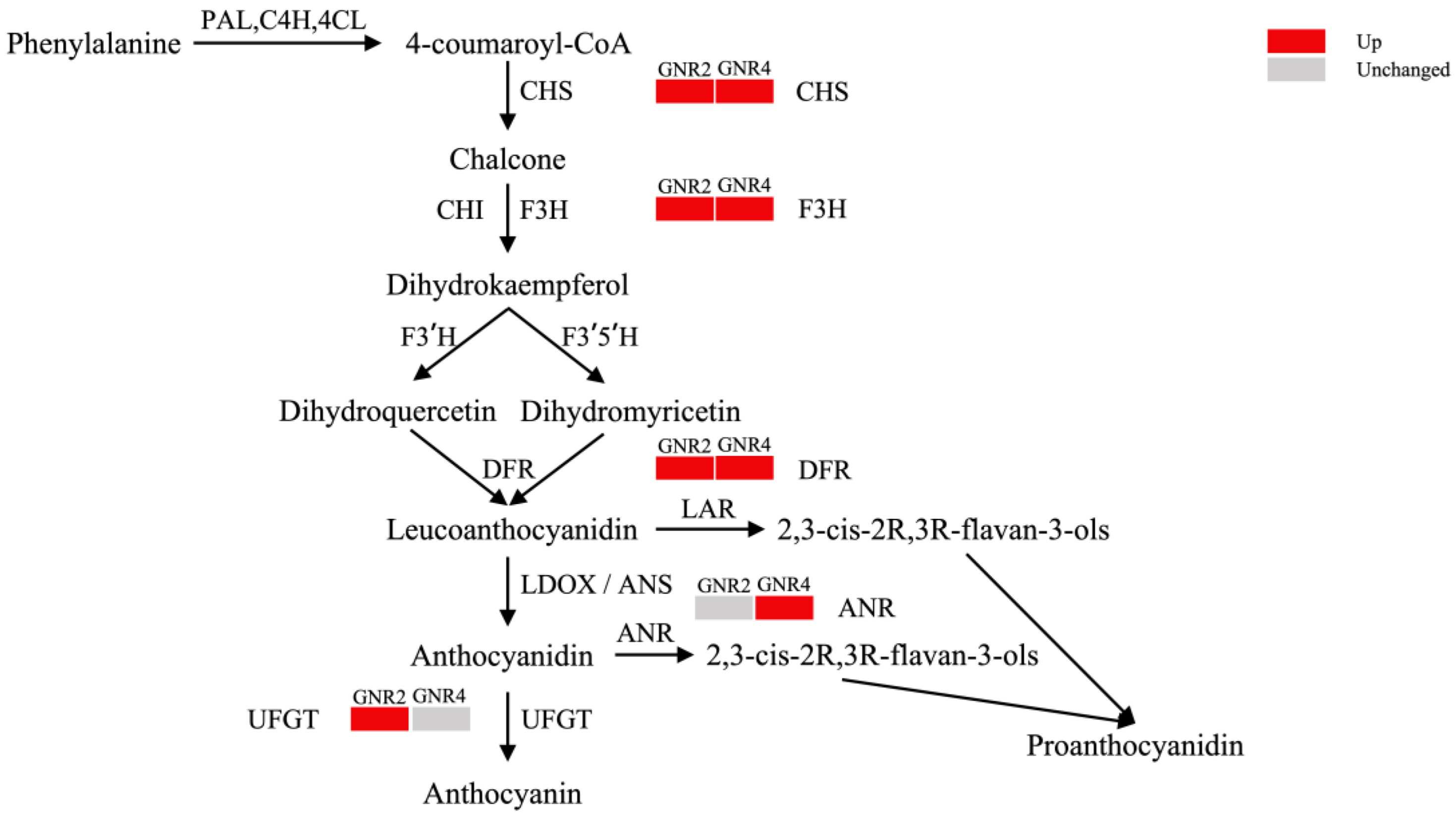 Genes 15 00055 g009
