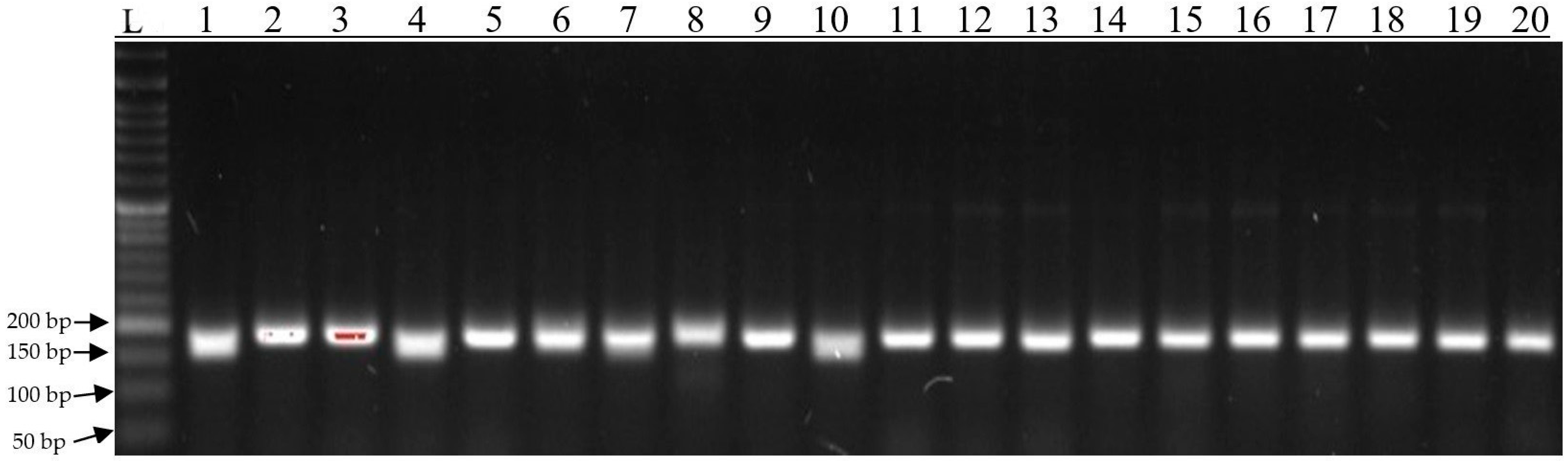 Genes 15 00056 g007