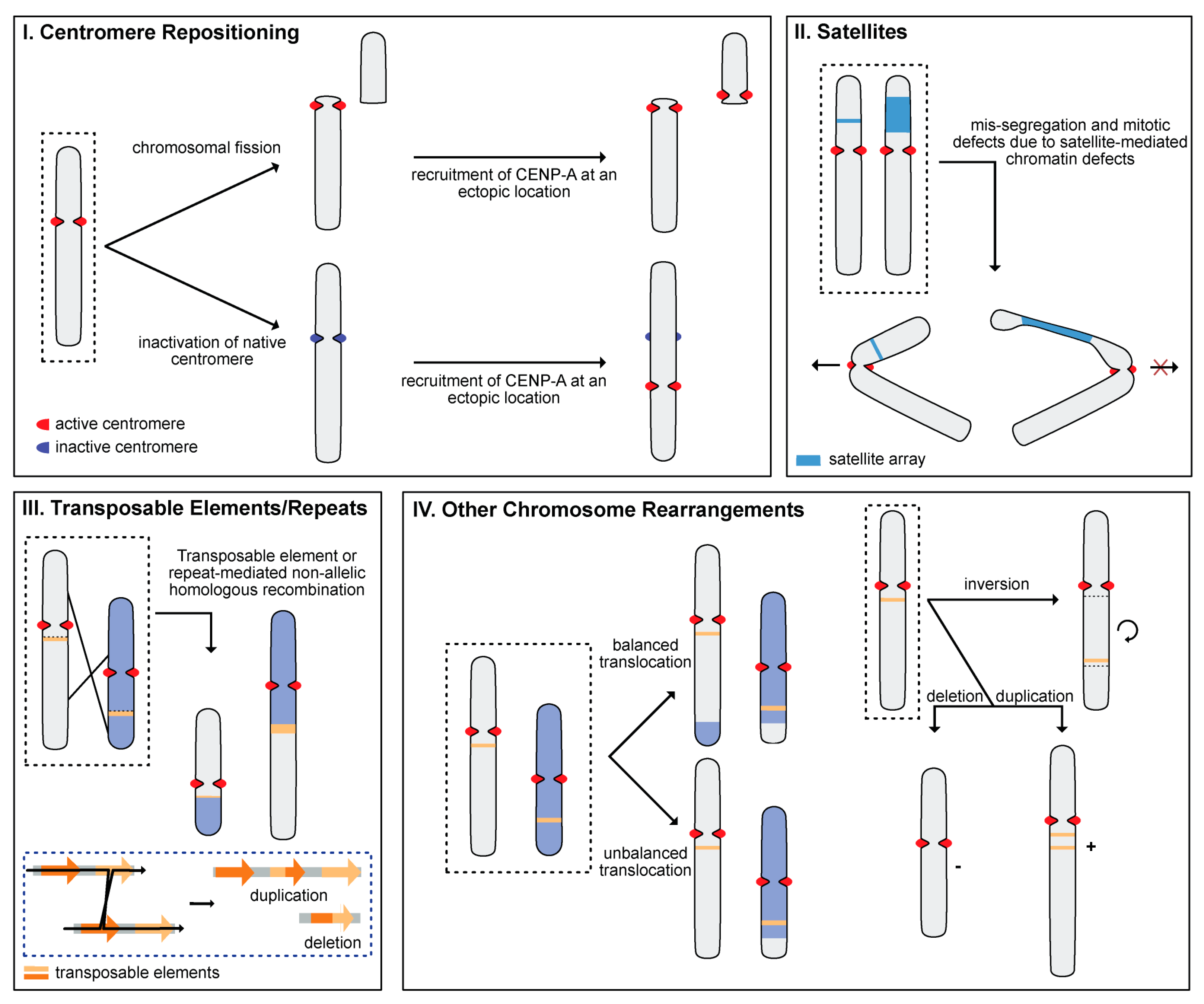 Genes 15 00062 g002