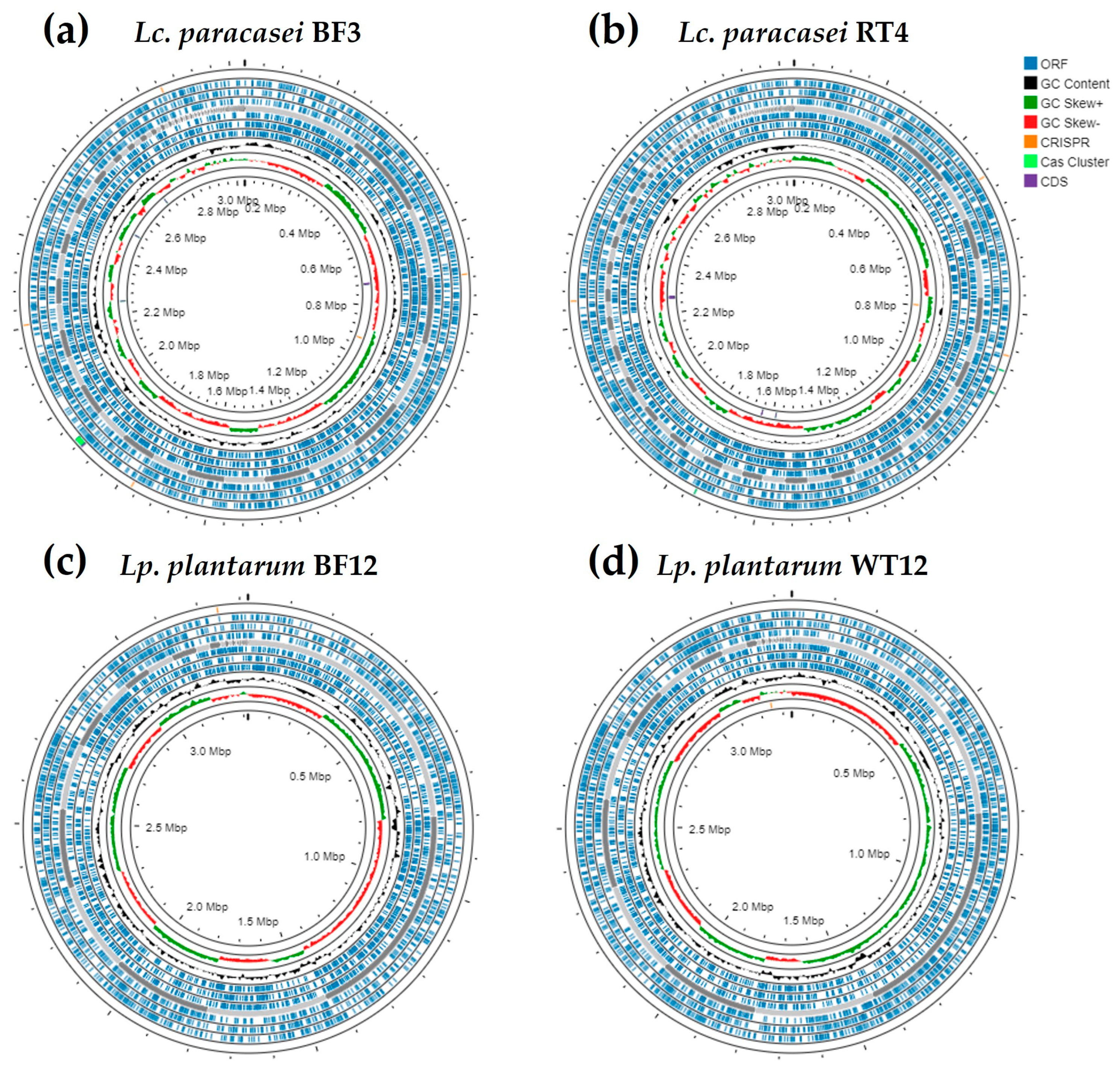 Genes 15 00064 g001 Genes 15 00064 g001