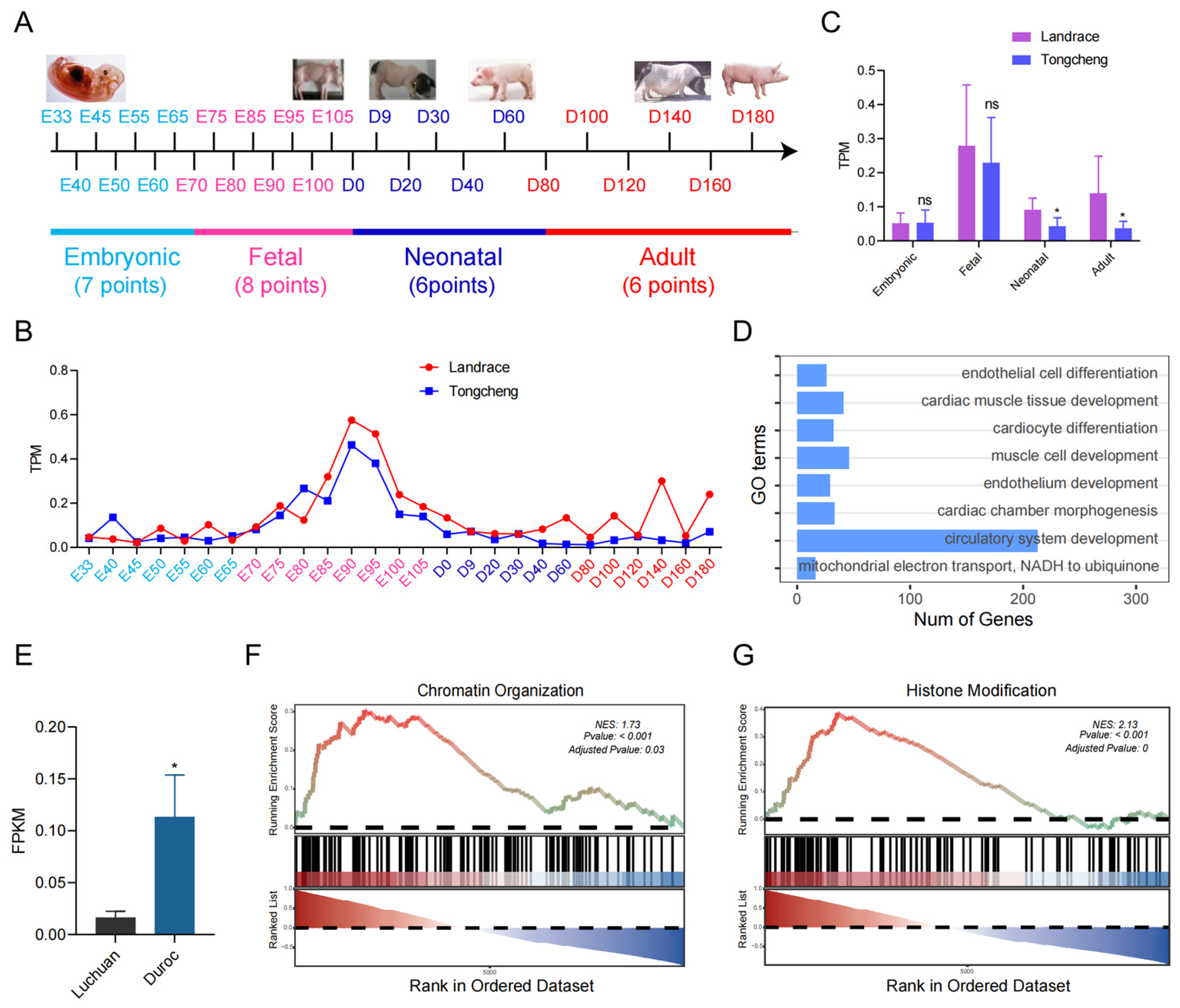 Genes 15 00065 g001