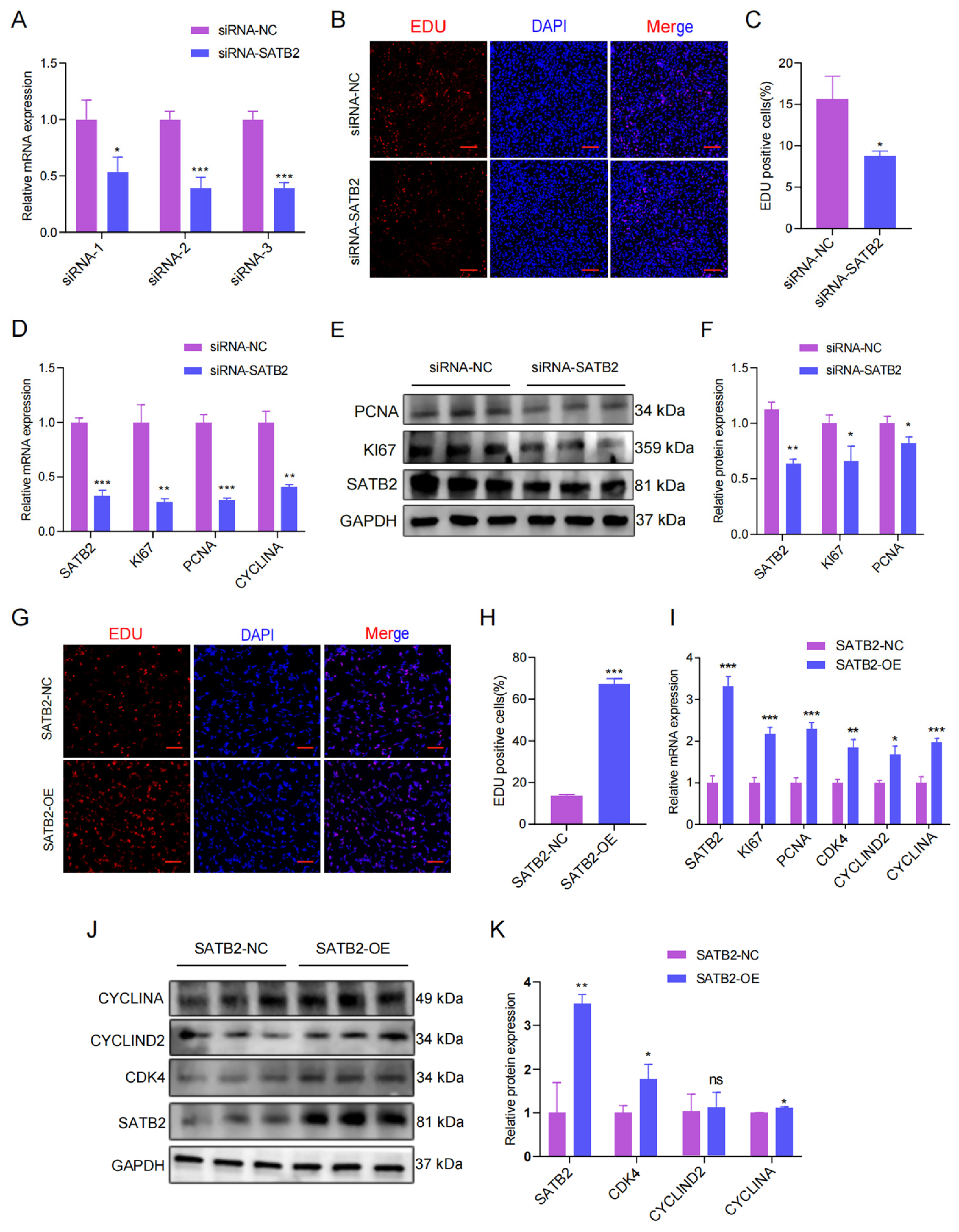 Genes 15 00065 g002