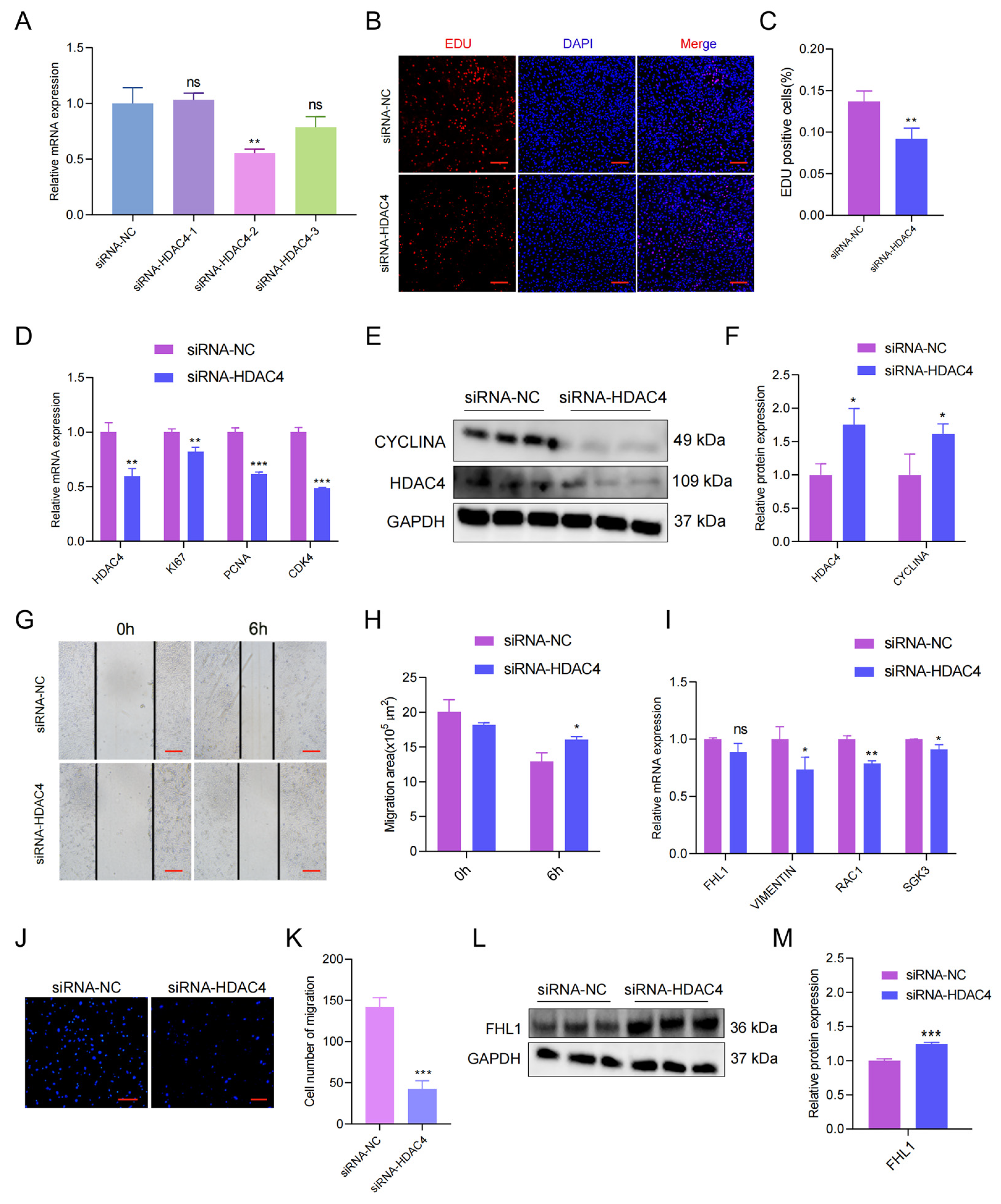 Genes 15 00065 g005