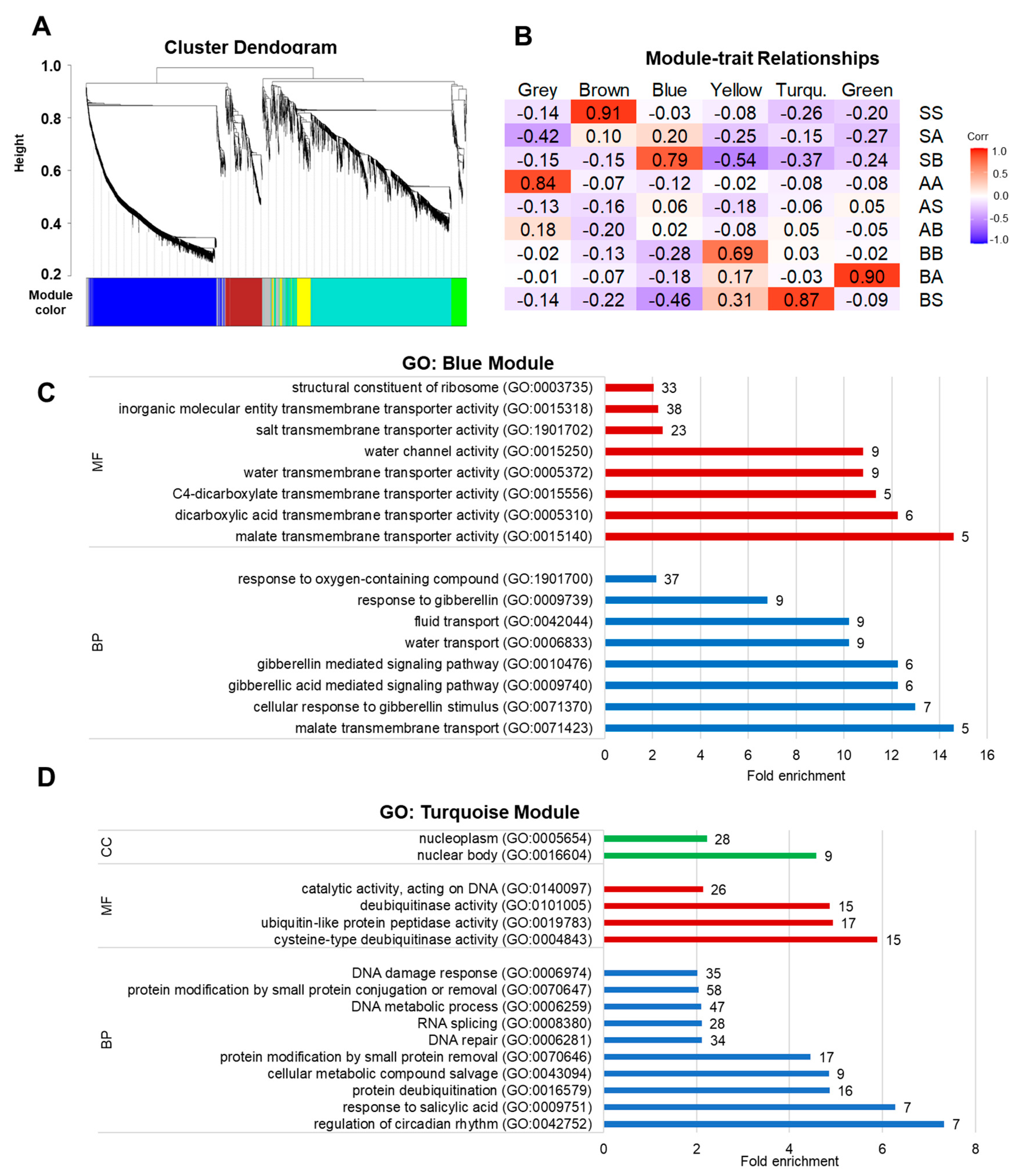Genes 15 00070 g002