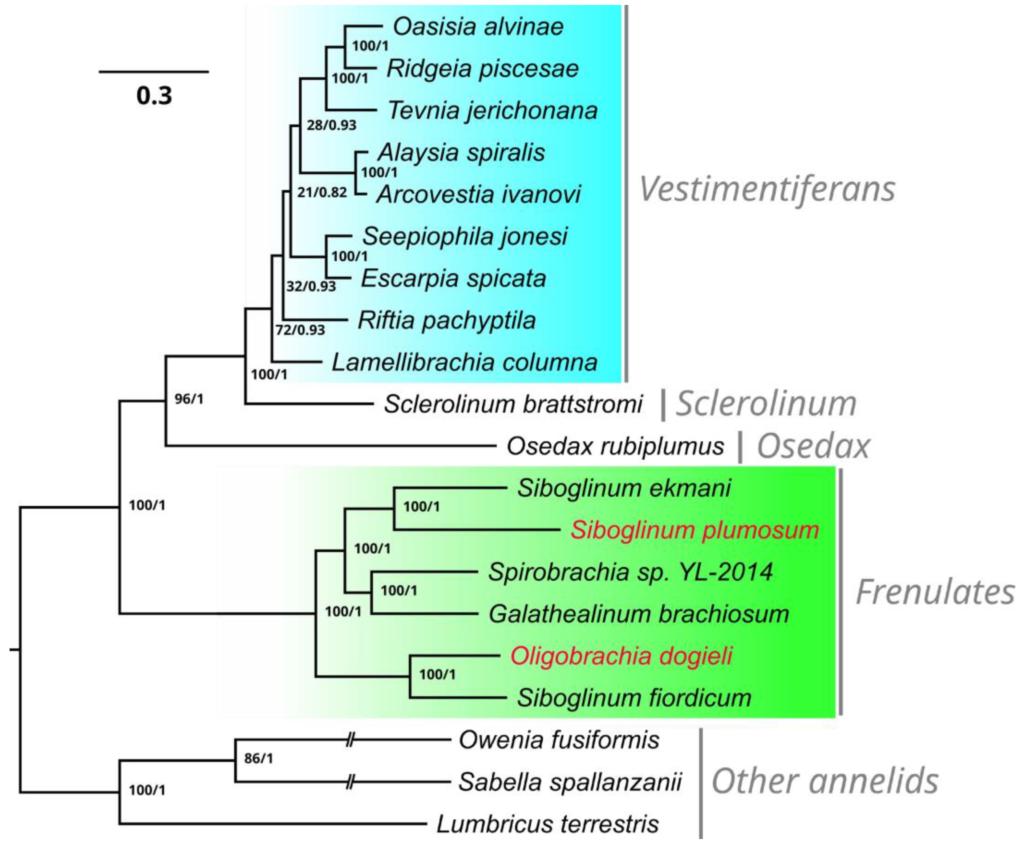 Genes 15 00077 g003