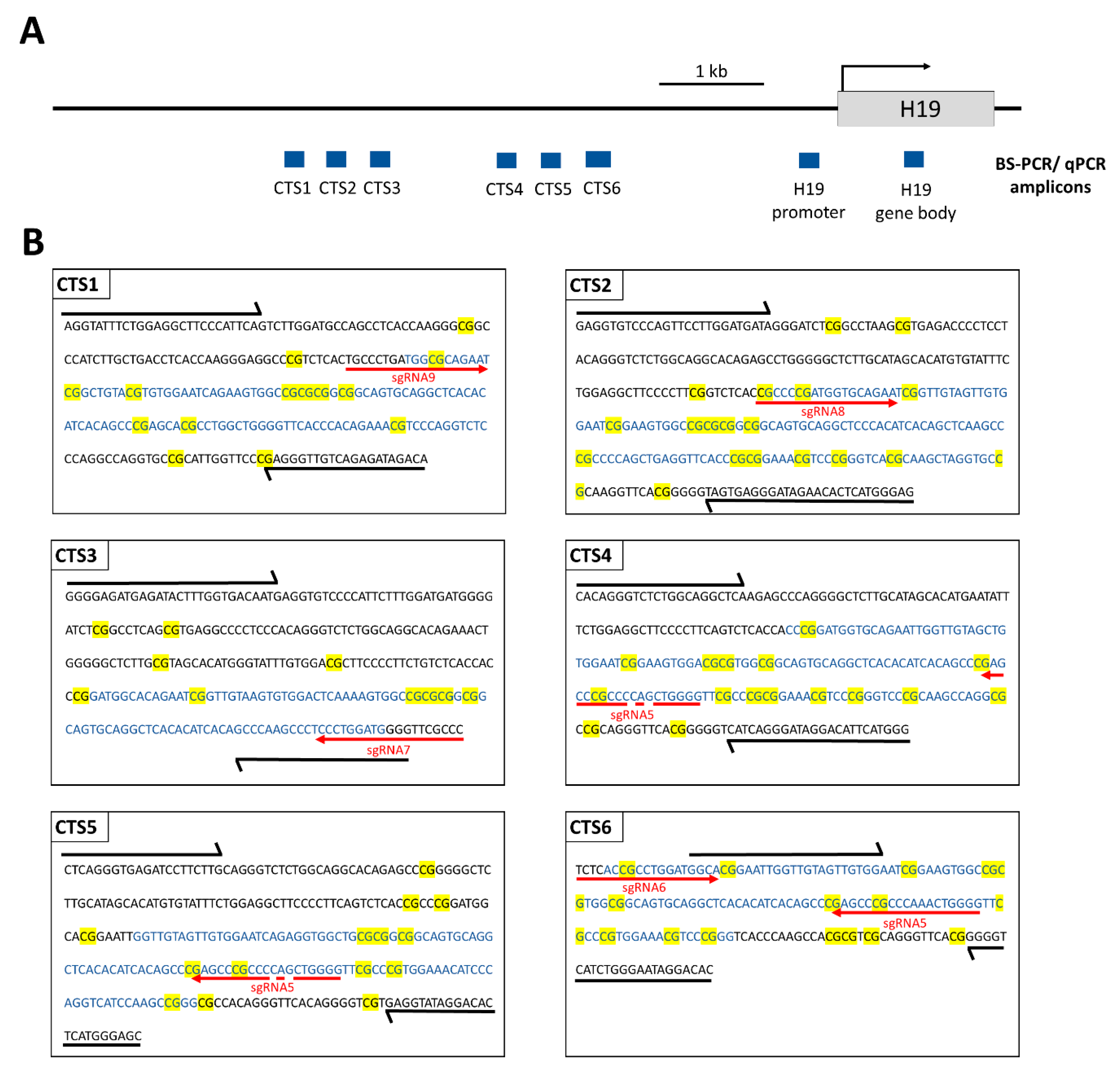 Genes 15 00080 g002