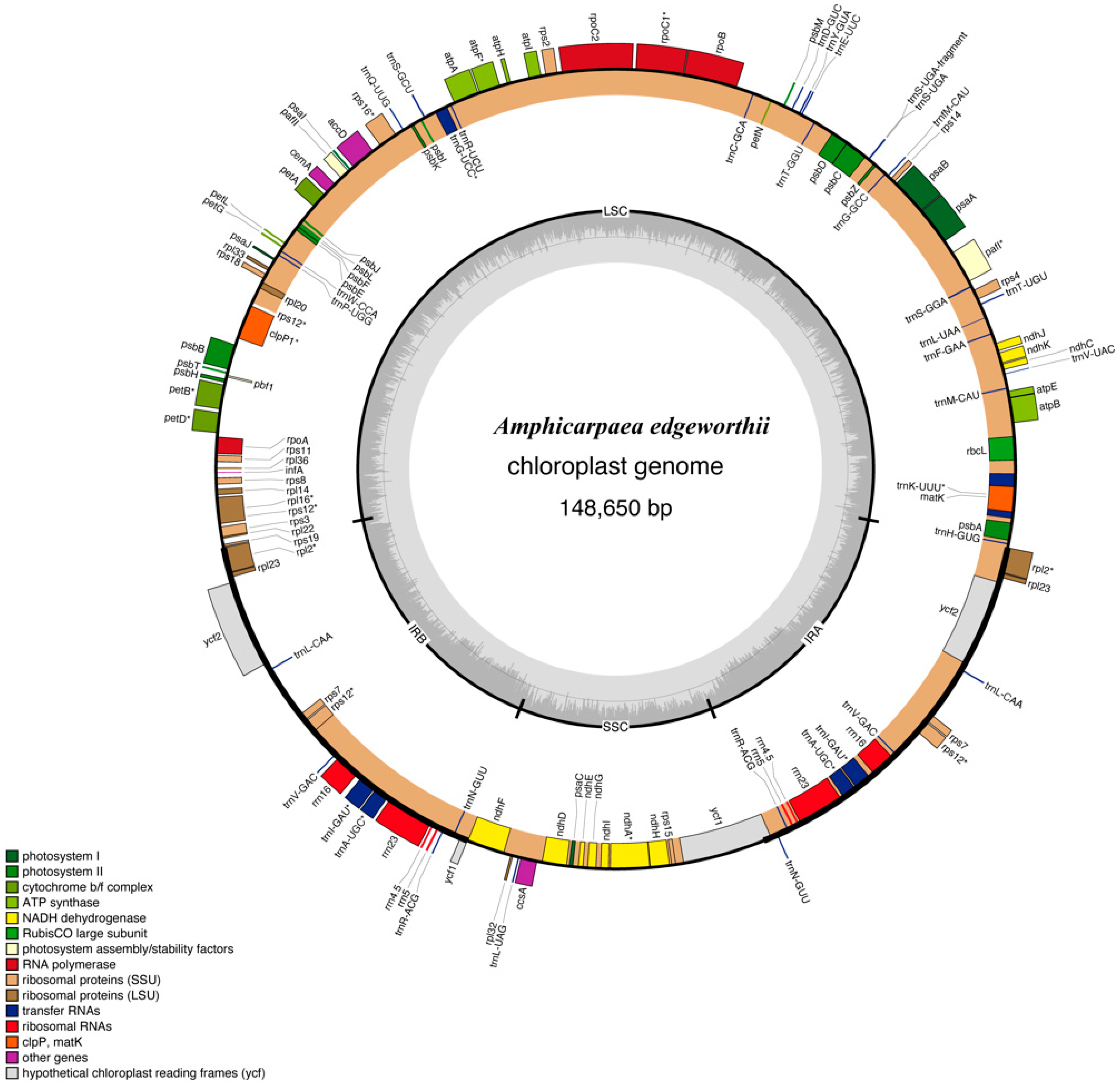 Genes 15 00088 g001