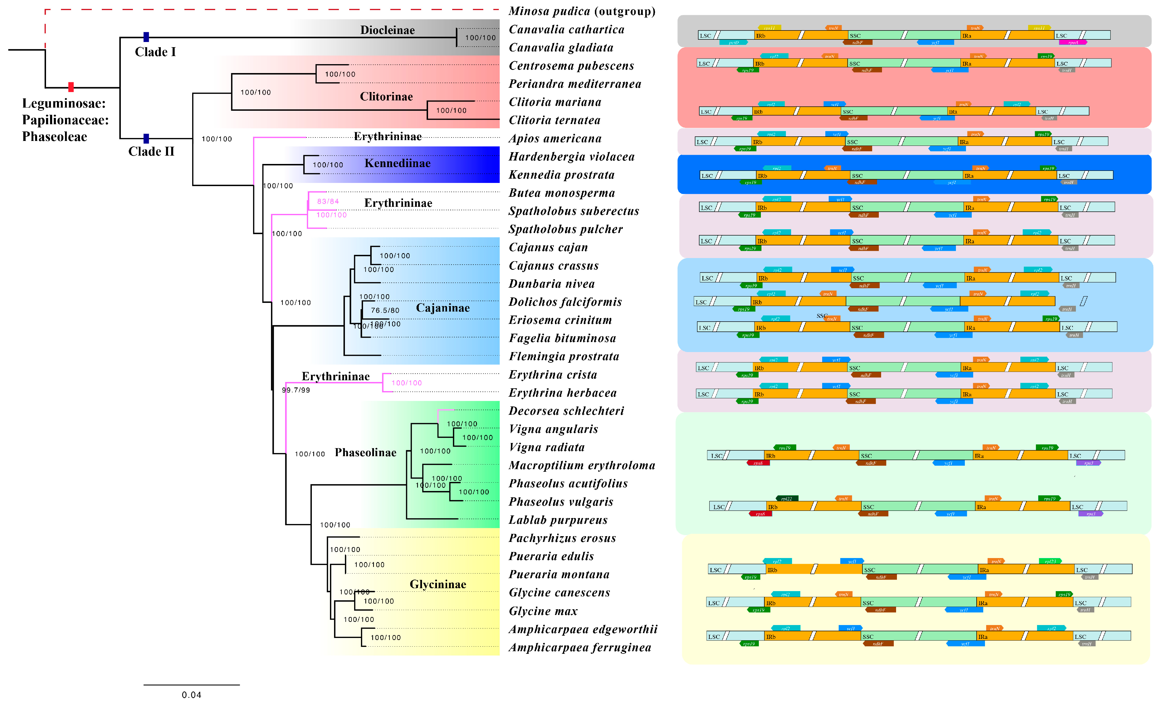 Genes 15 00088 g010