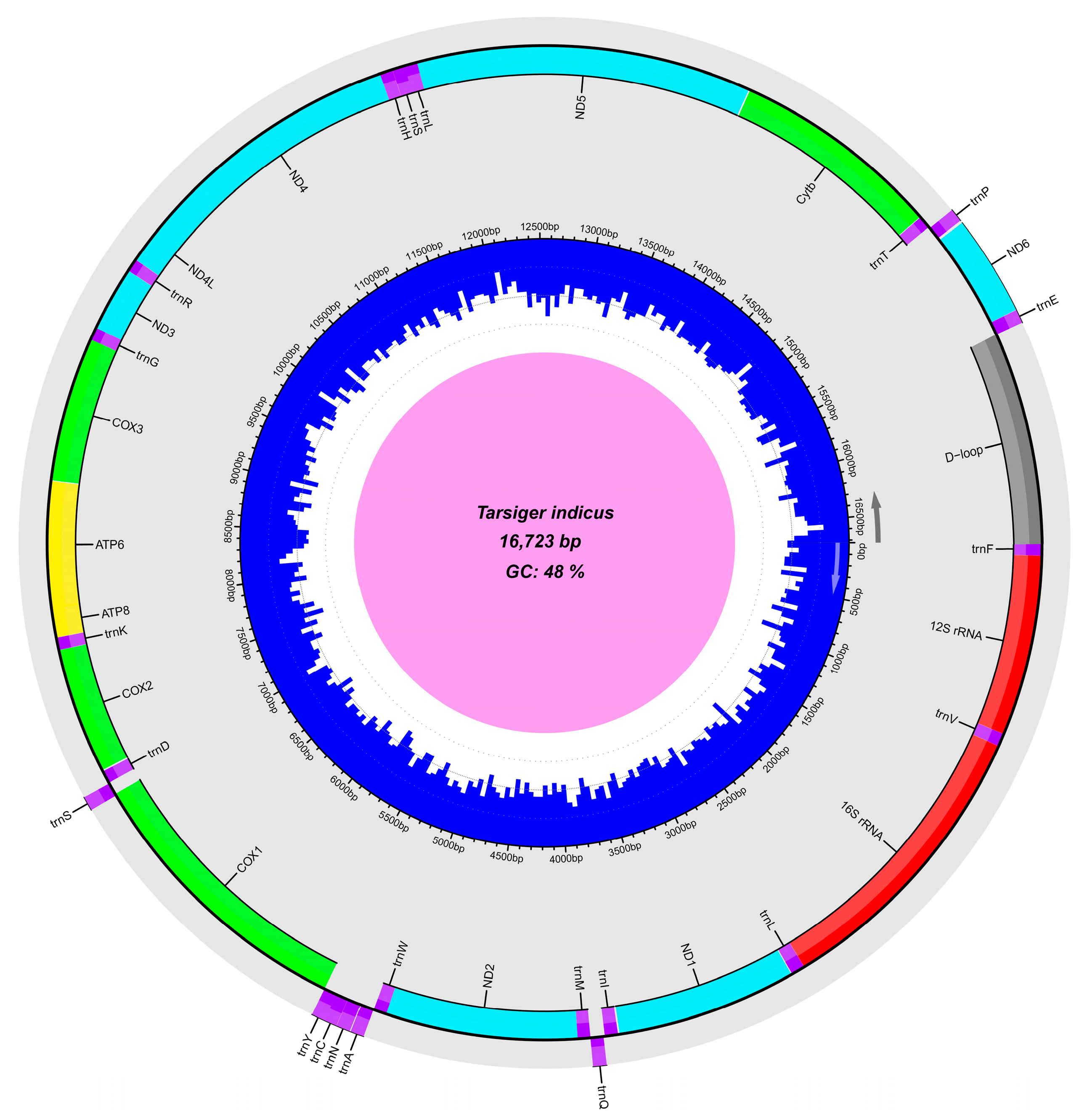 Genes 15 00090 g002 Genes 15 00090 g002