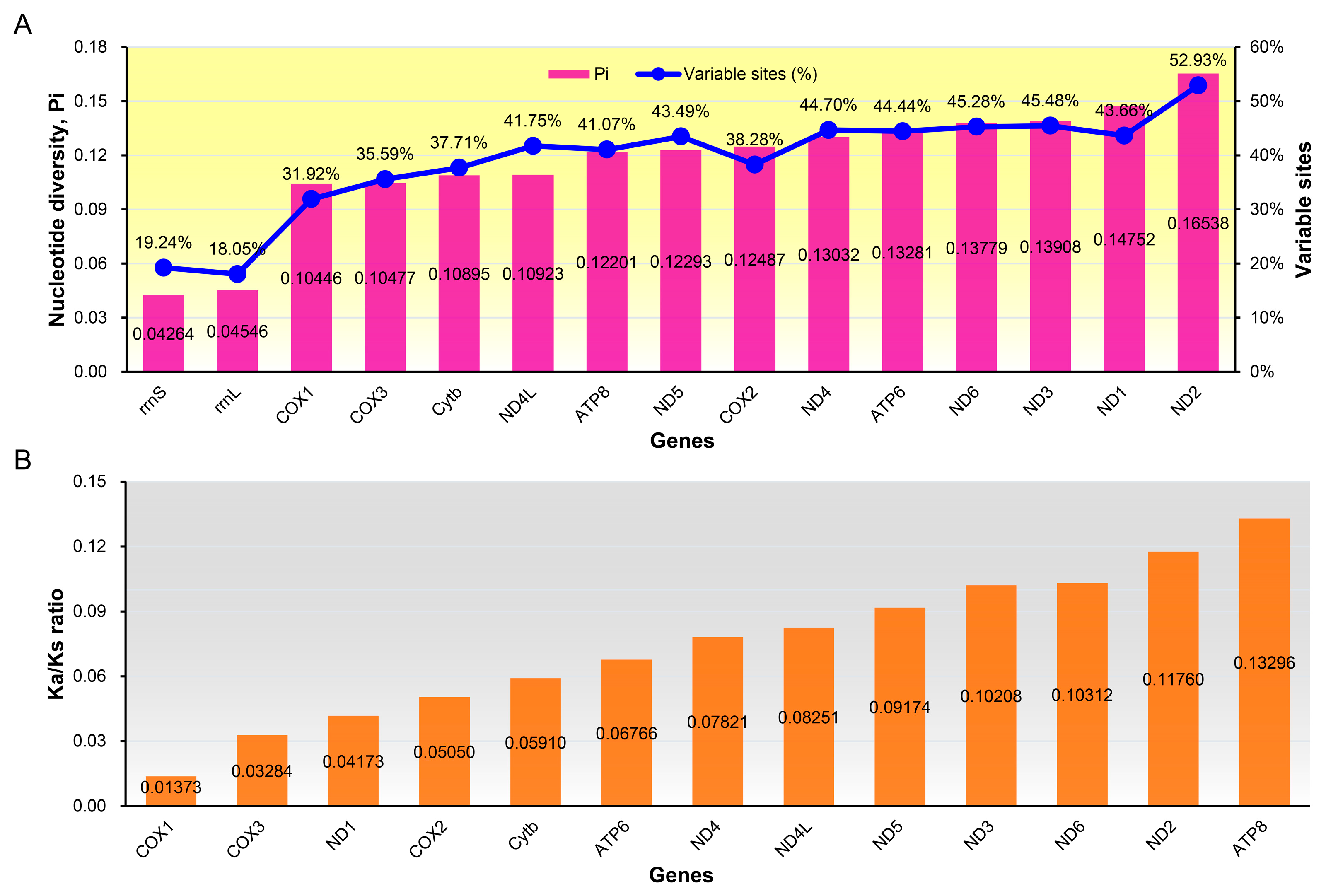 Genes 15 00090 g006 Genes 15 00090 g006