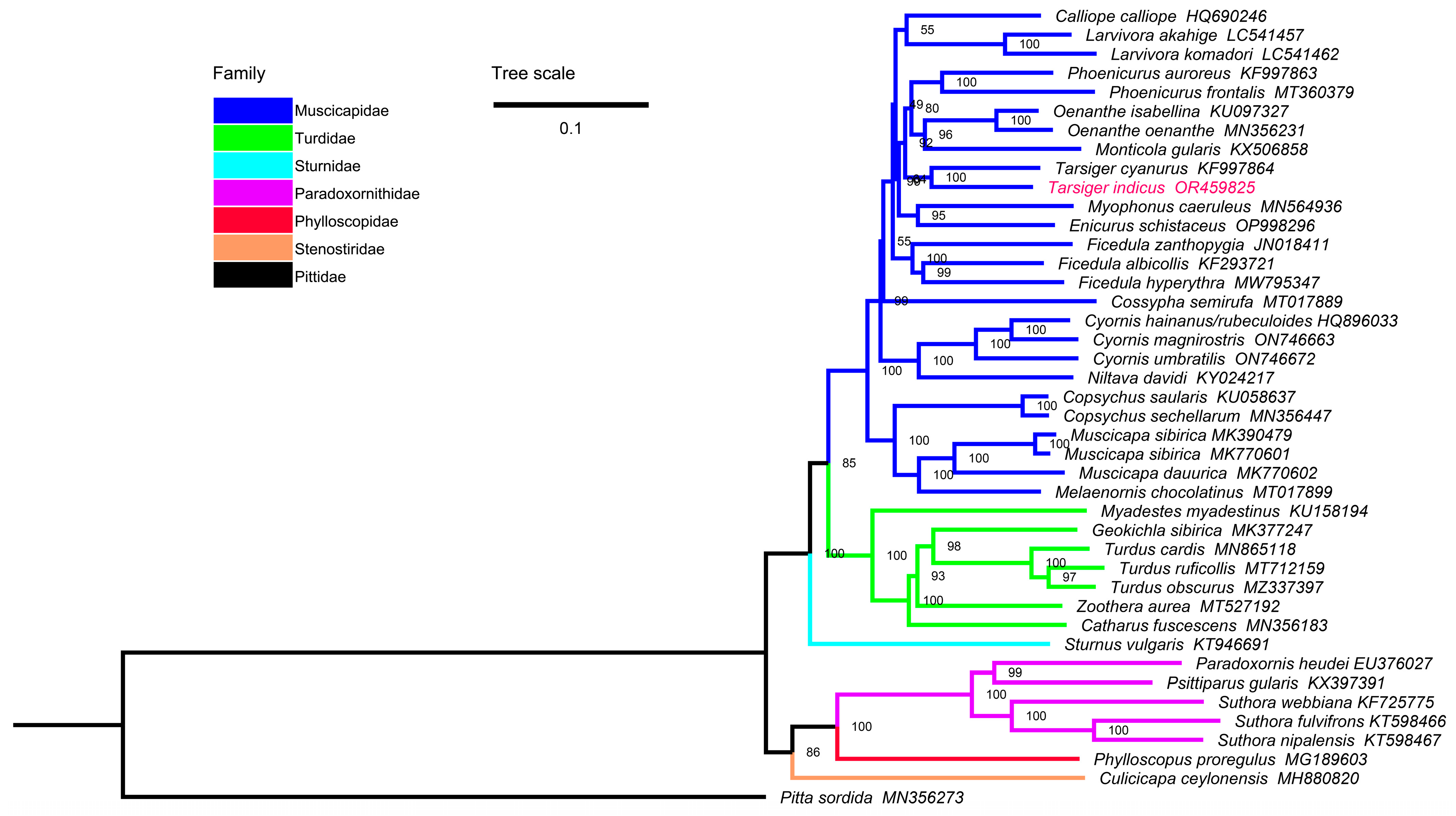 Genes 15 00090 g007 Genes 15 00090 g007
