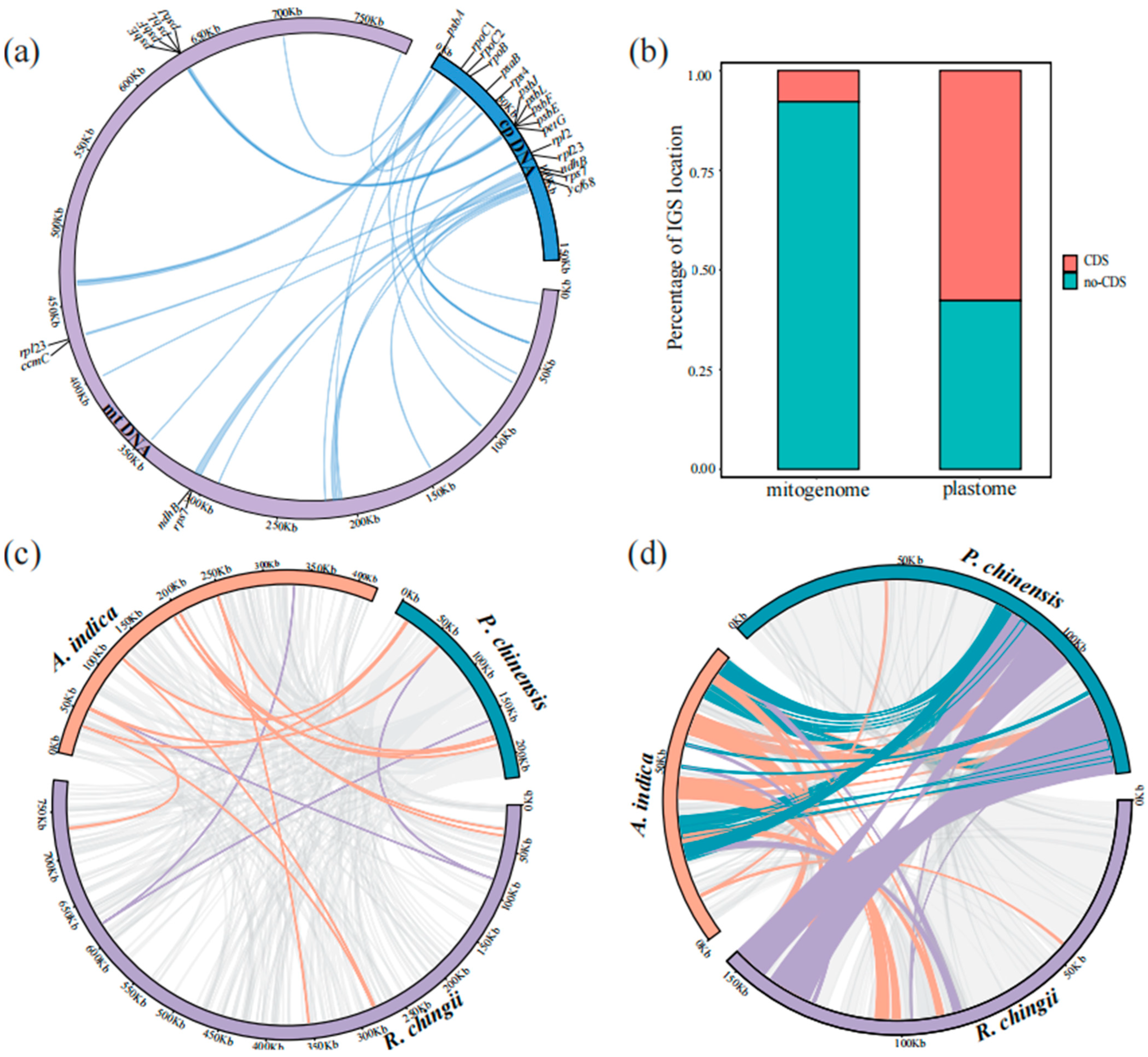 Genes 15 00098 g005 Genes 15 00098 g005