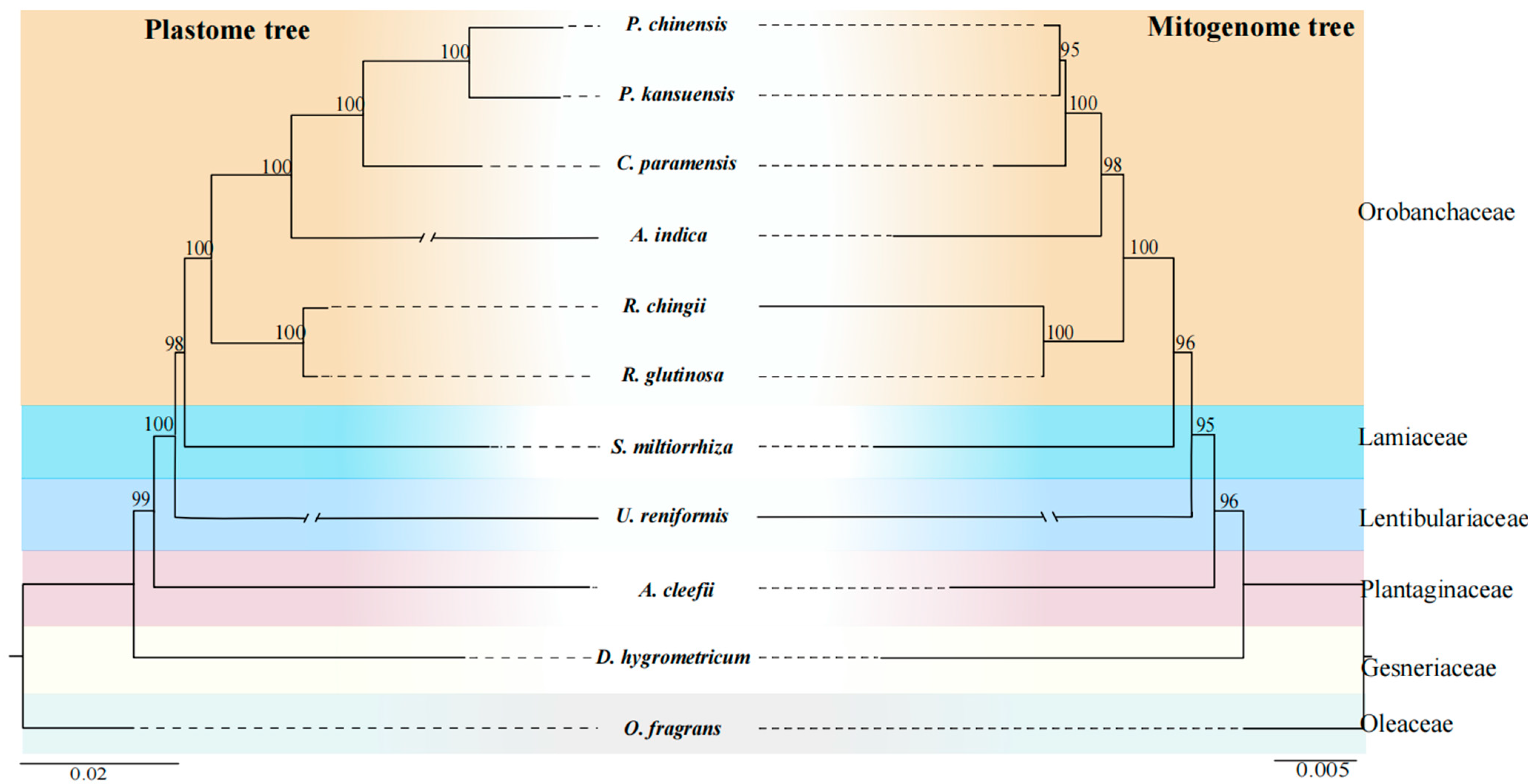 Genes 15 00098 g006 Genes 15 00098 g006